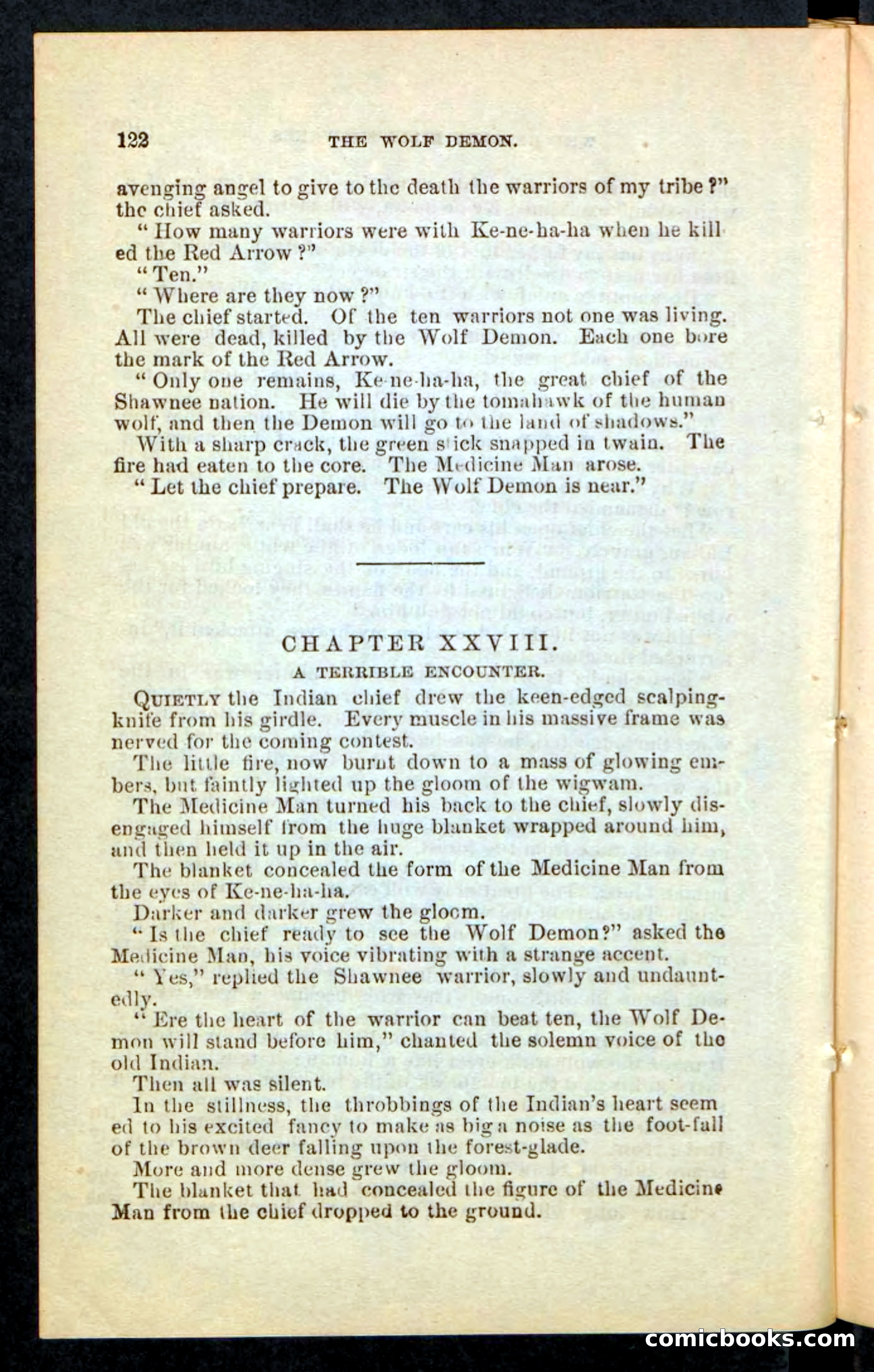 The Wolf-Demon, or The Red Arrow of the Far West — page 118 of 194