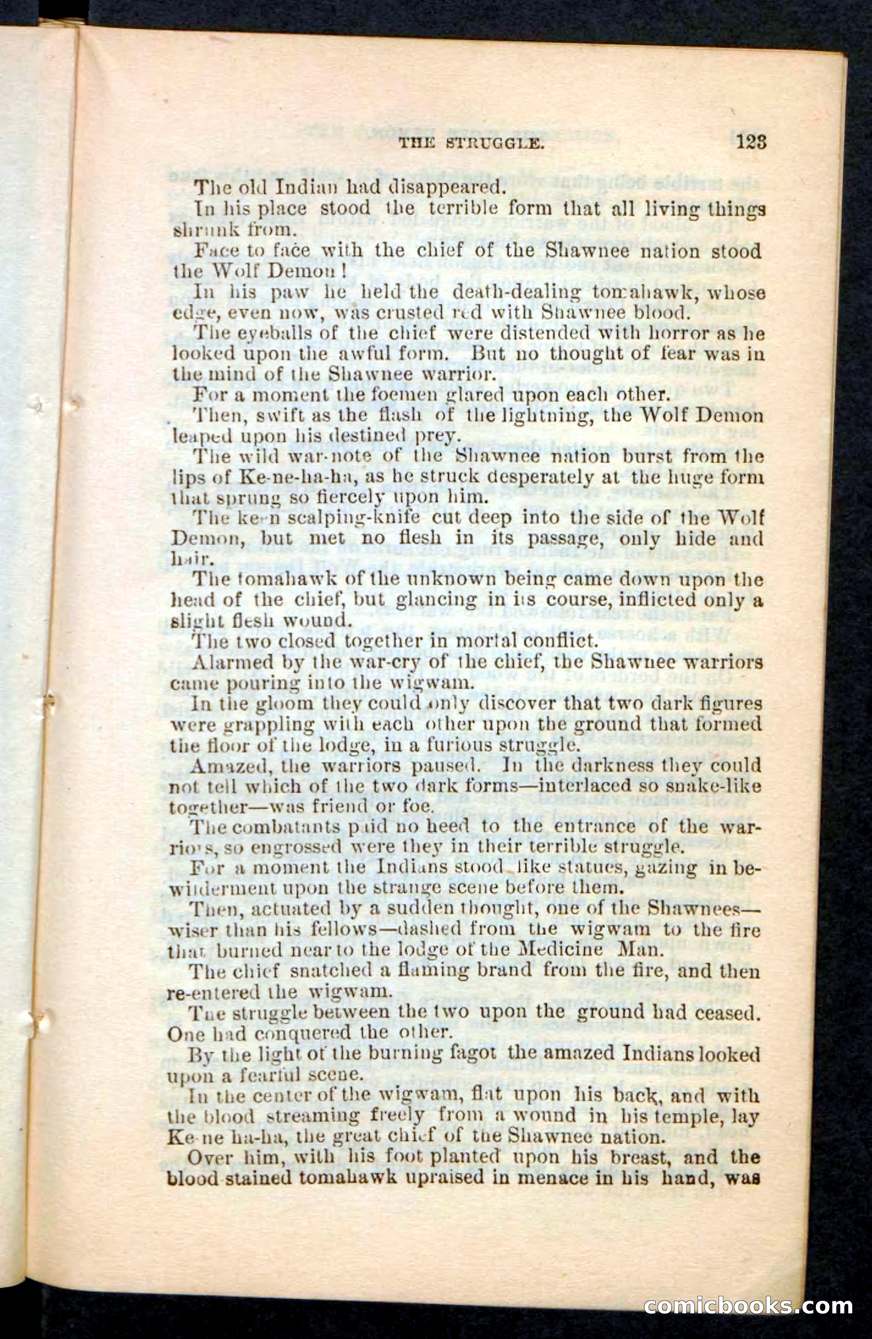 The Wolf-Demon, or The Red Arrow of the Far West — page 119 of 194