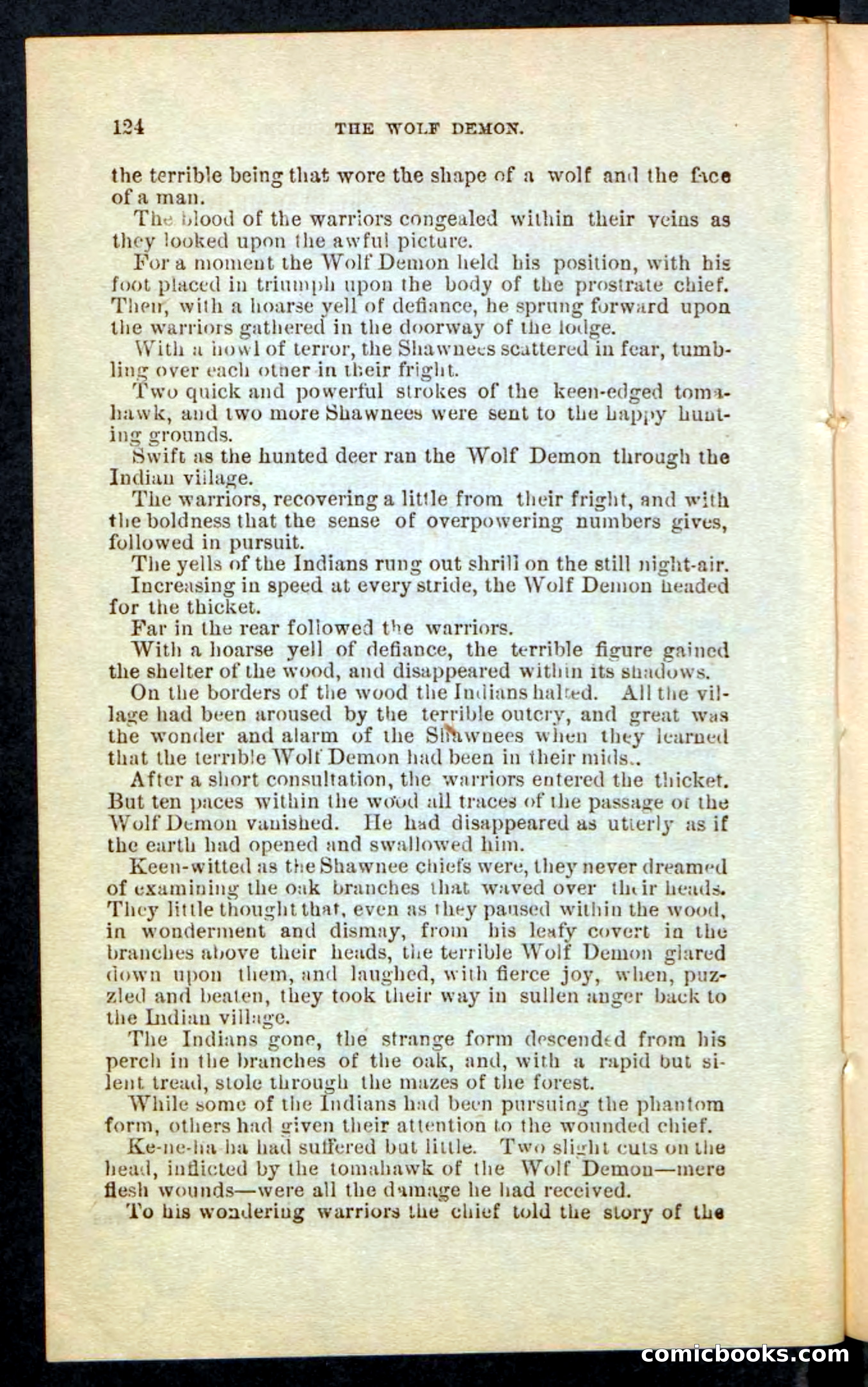 The Wolf-Demon, or The Red Arrow of the Far West — page 120 of 194