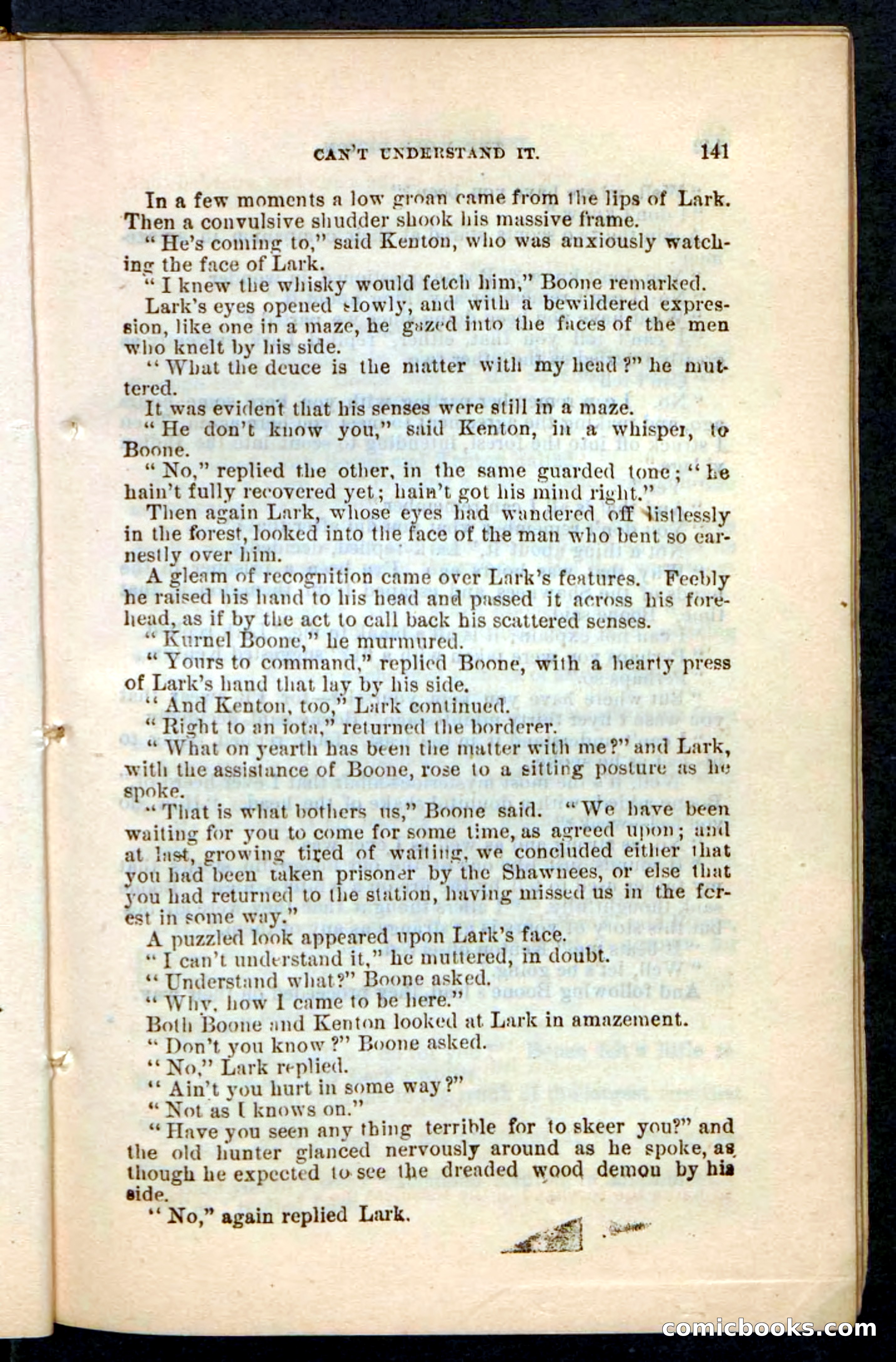 The Wolf-Demon, or The Red Arrow of the Far West — page 137 of 194