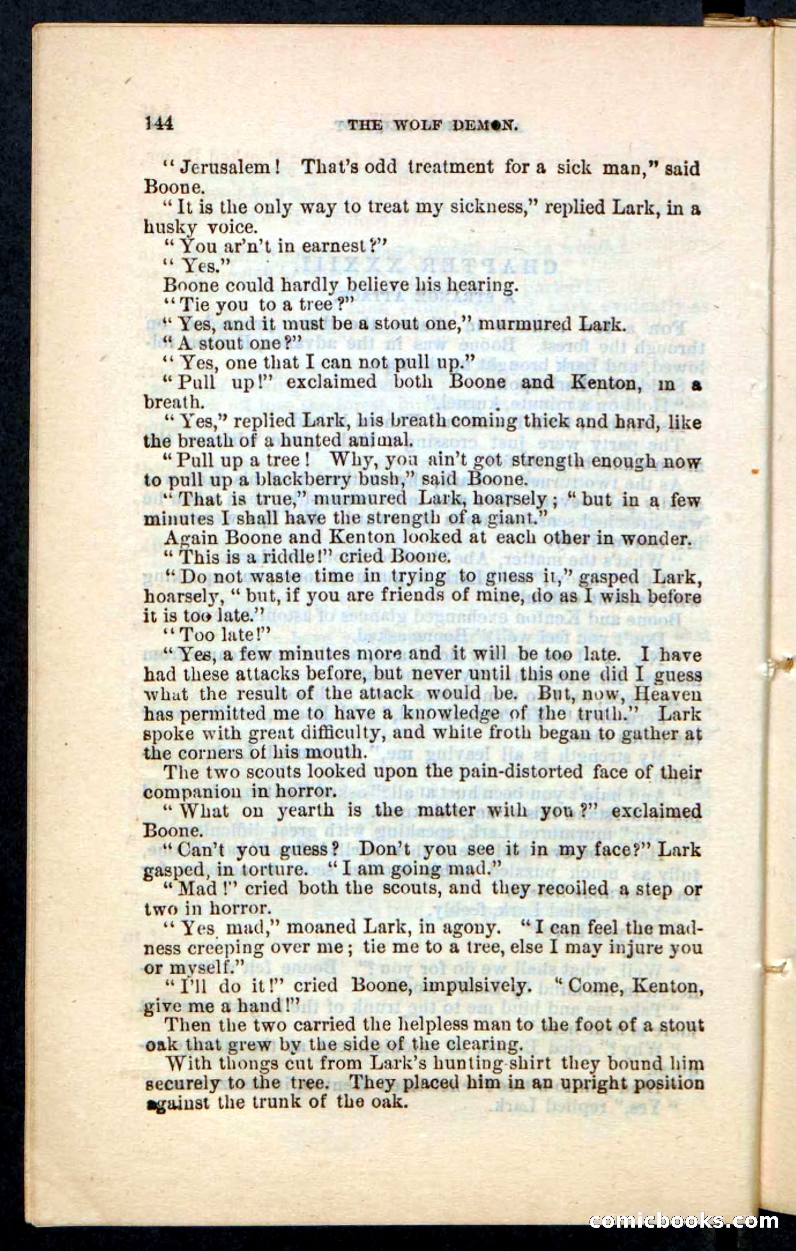 The Wolf-Demon, or The Red Arrow of the Far West — page 140 of 194