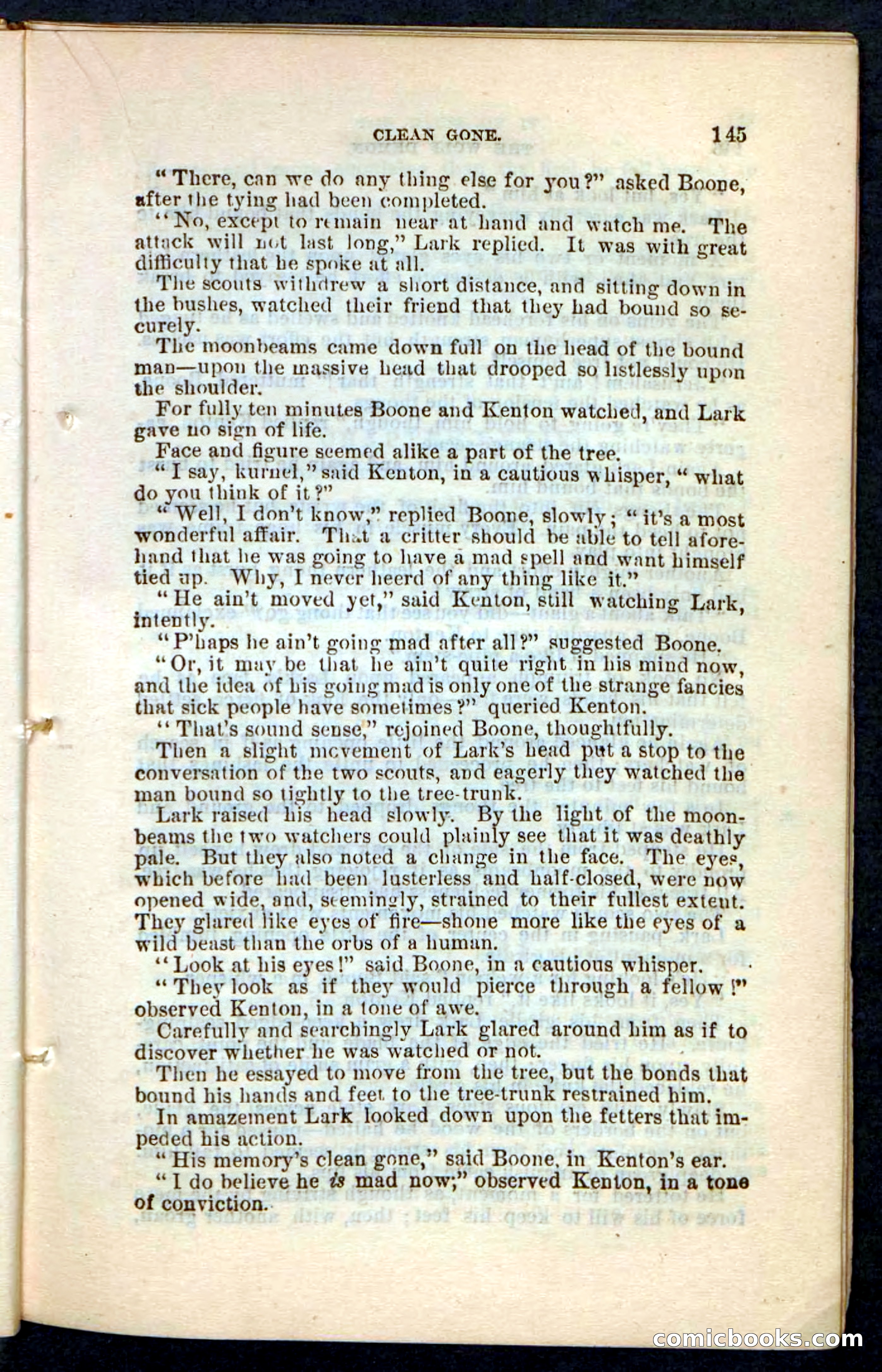 The Wolf-Demon, or The Red Arrow of the Far West — page 141 of 194