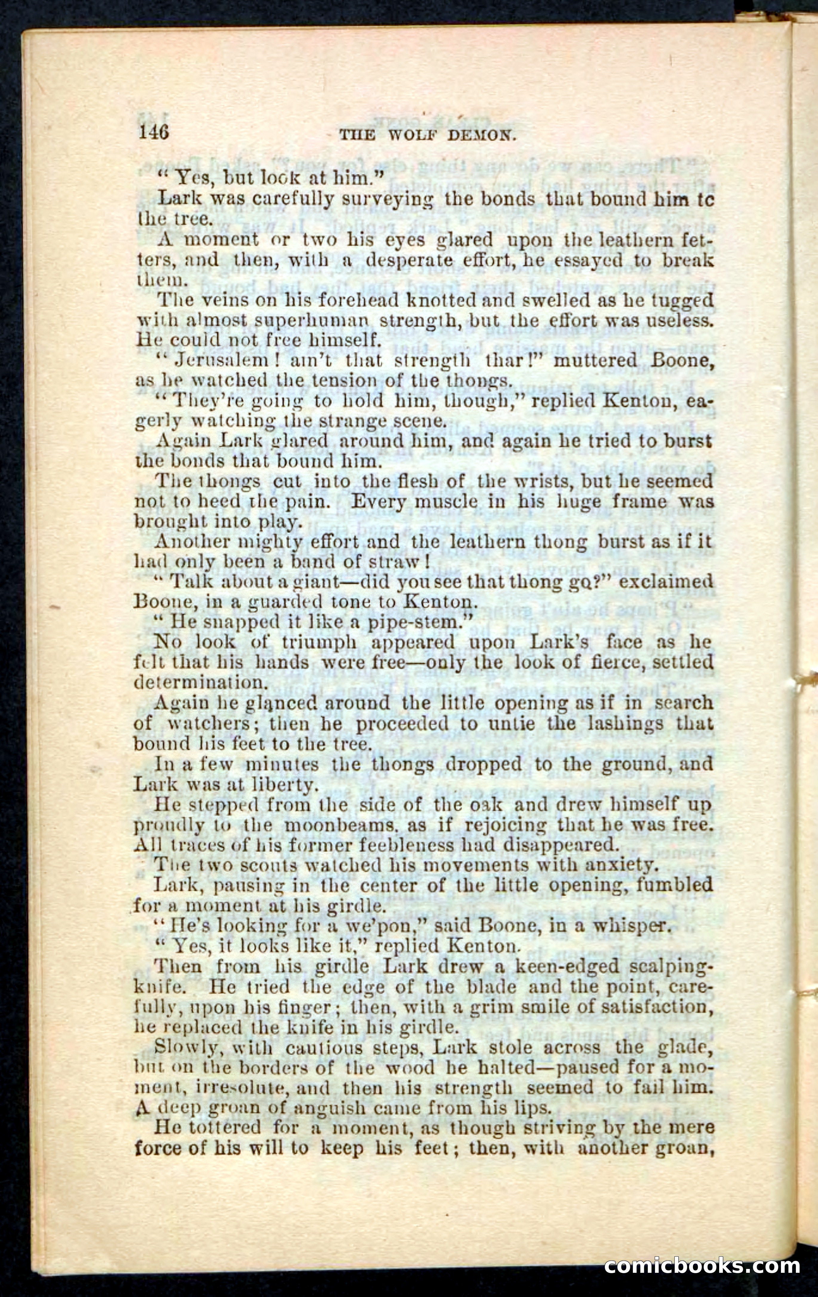 The Wolf-Demon, or The Red Arrow of the Far West — page 142 of 194