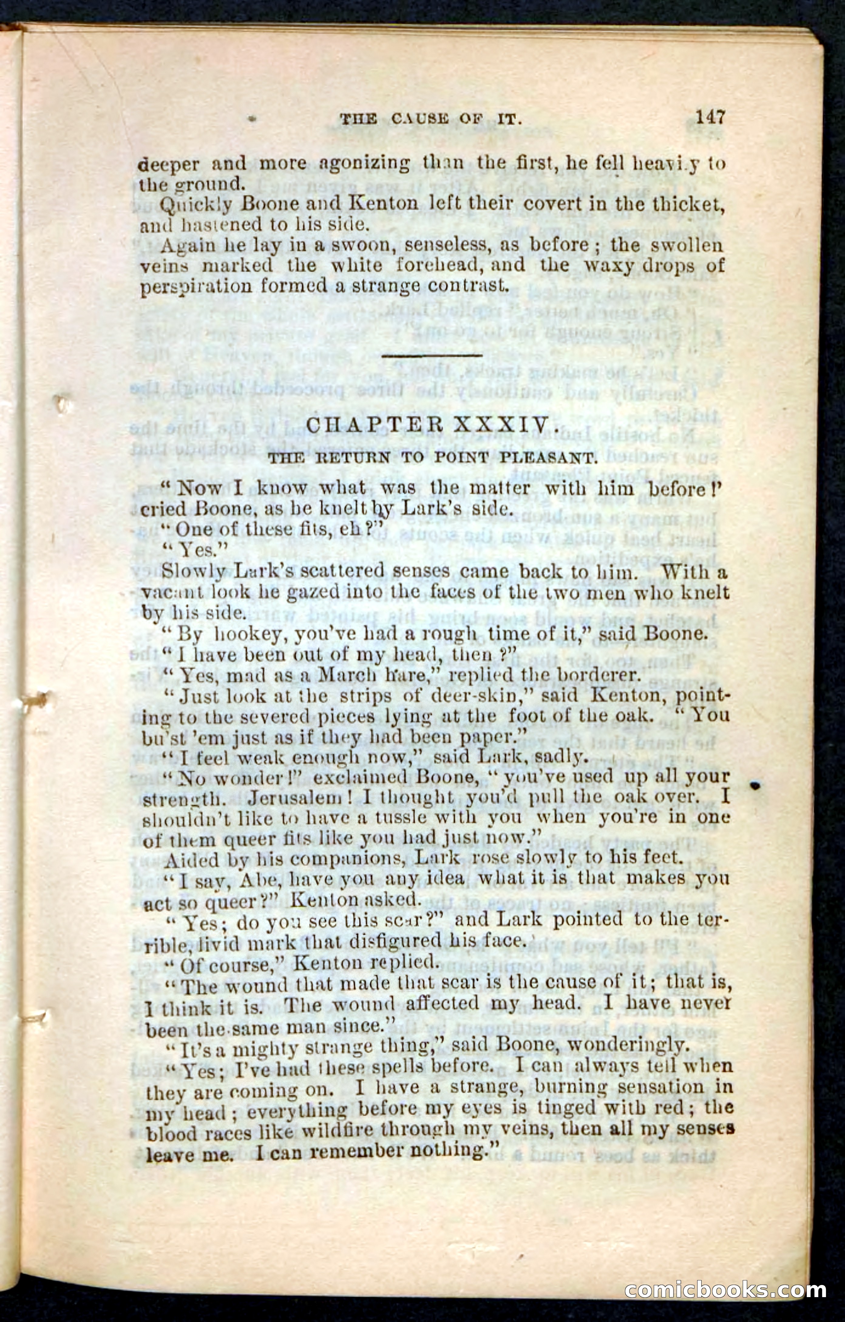 The Wolf-Demon, or The Red Arrow of the Far West — page 143 of 194