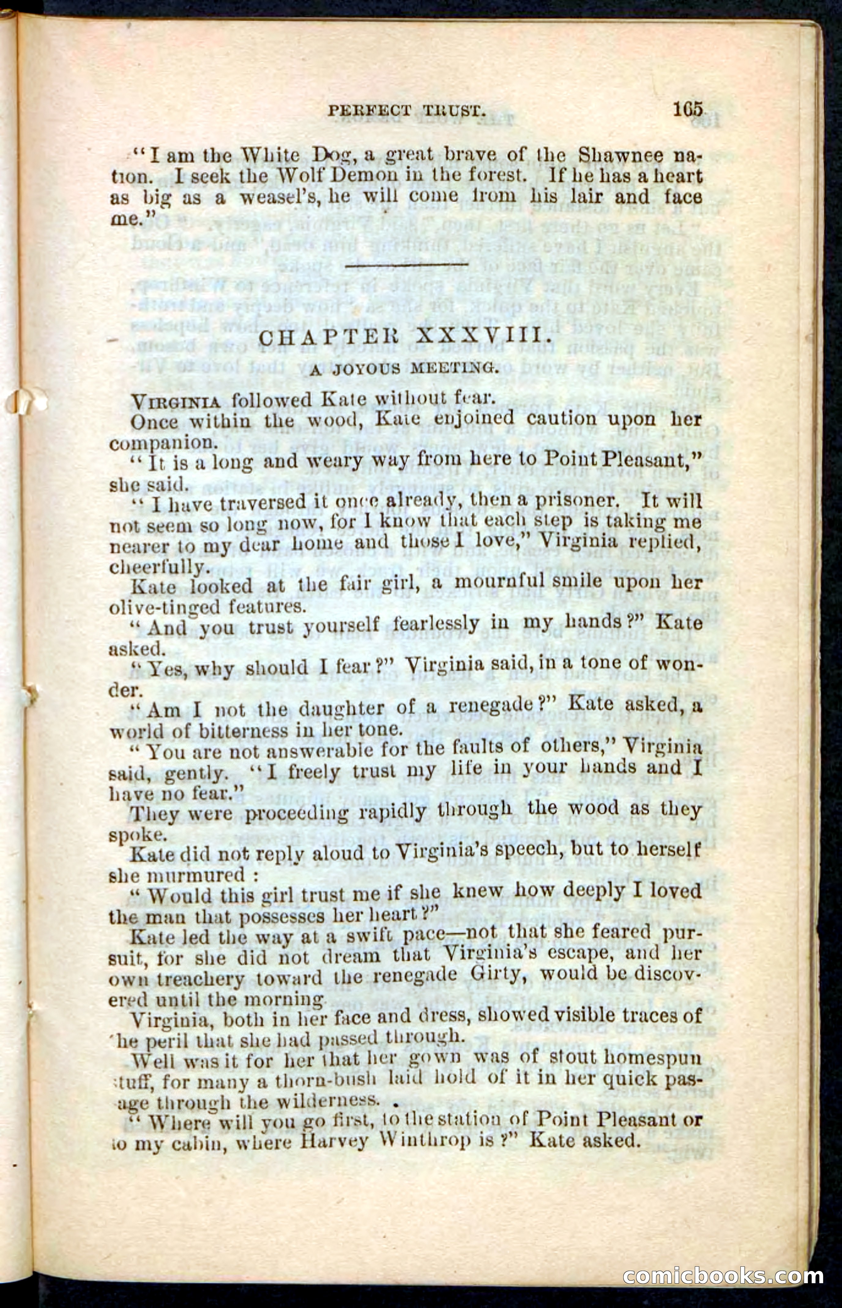 The Wolf-Demon, or The Red Arrow of the Far West — page 161 of 194