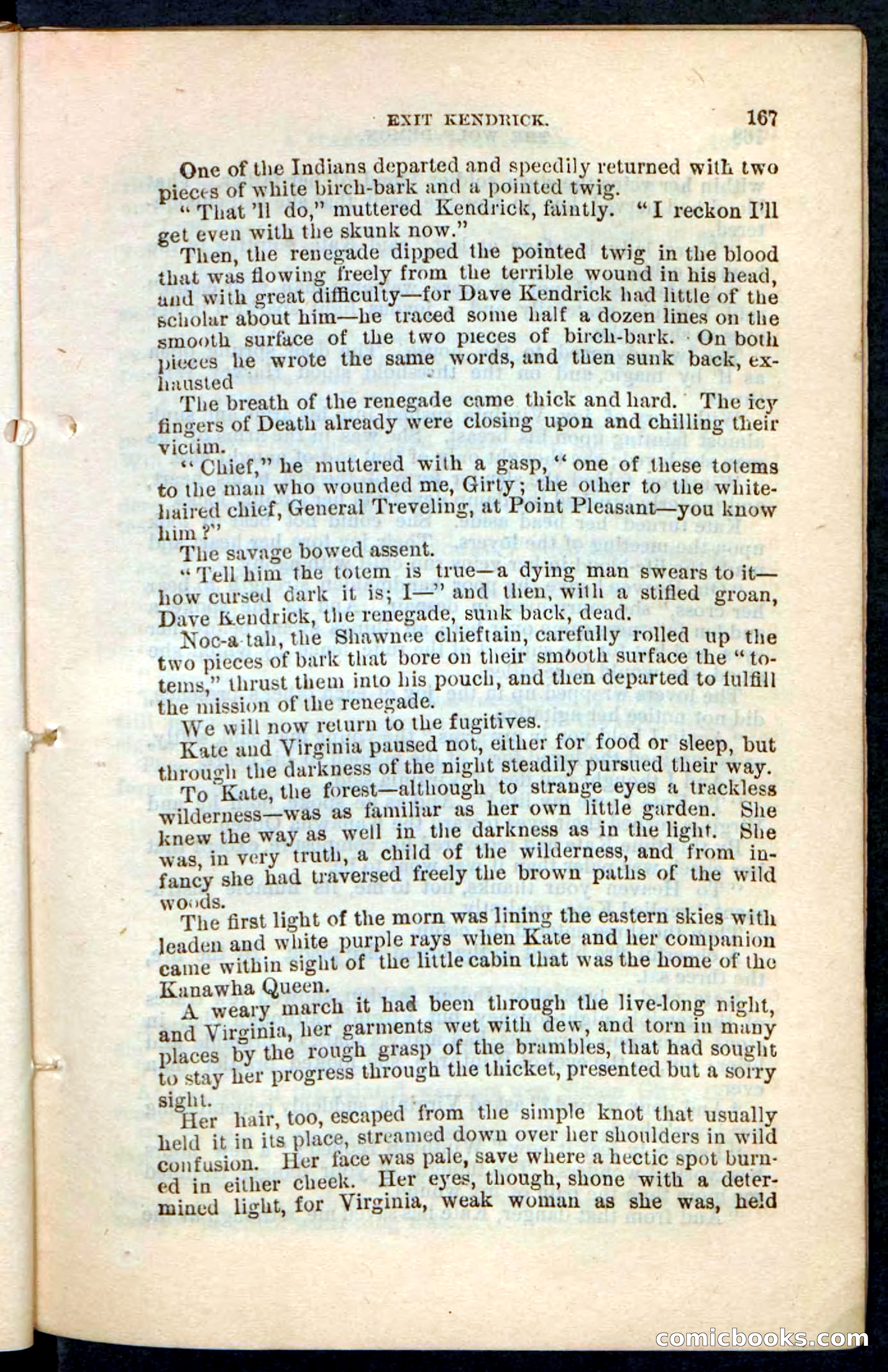 The Wolf-Demon, or The Red Arrow of the Far West — page 163 of 194