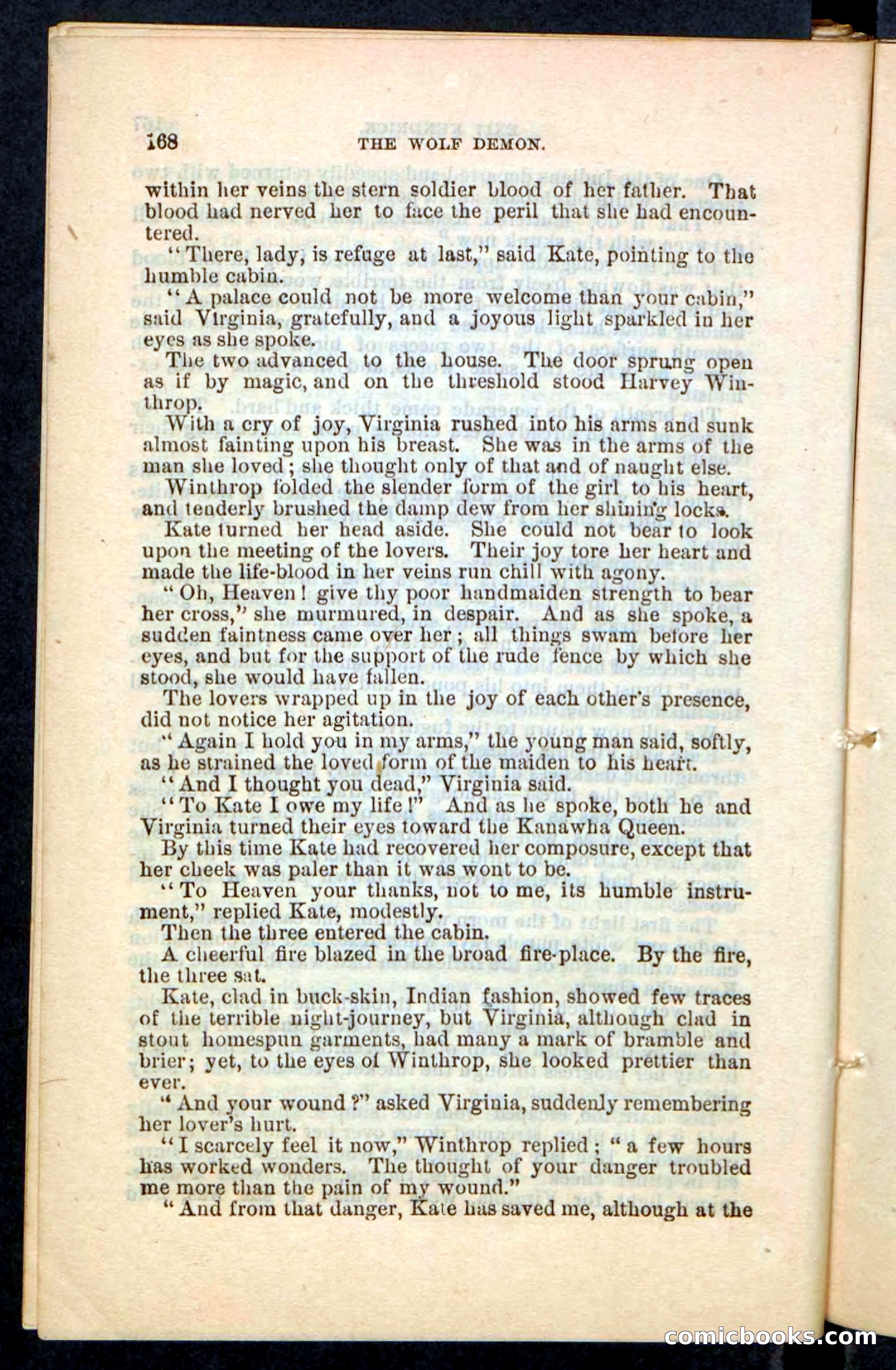 The Wolf-Demon, or The Red Arrow of the Far West — page 164 of 194