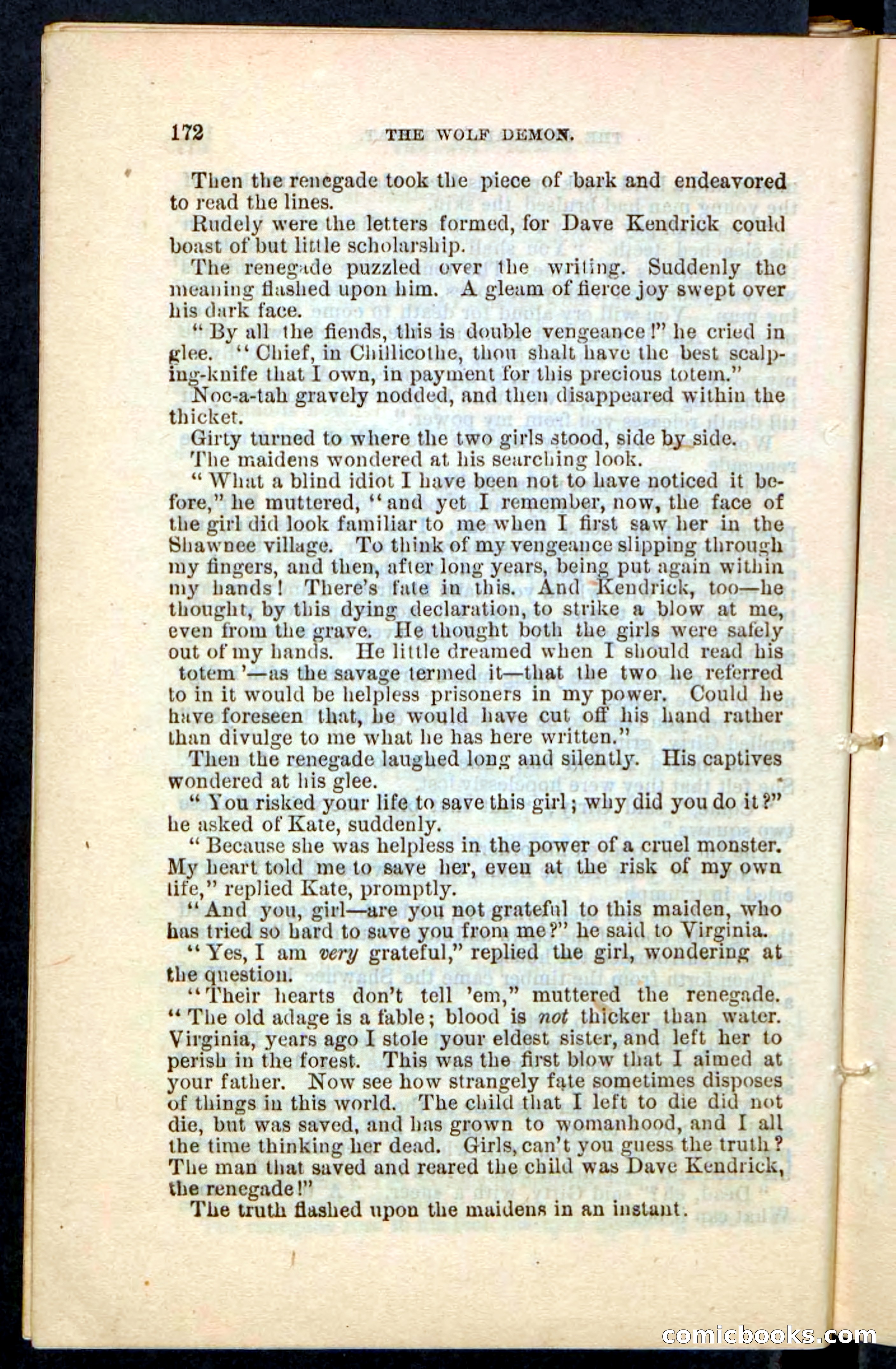 The Wolf-Demon, or The Red Arrow of the Far West — page 168 of 194