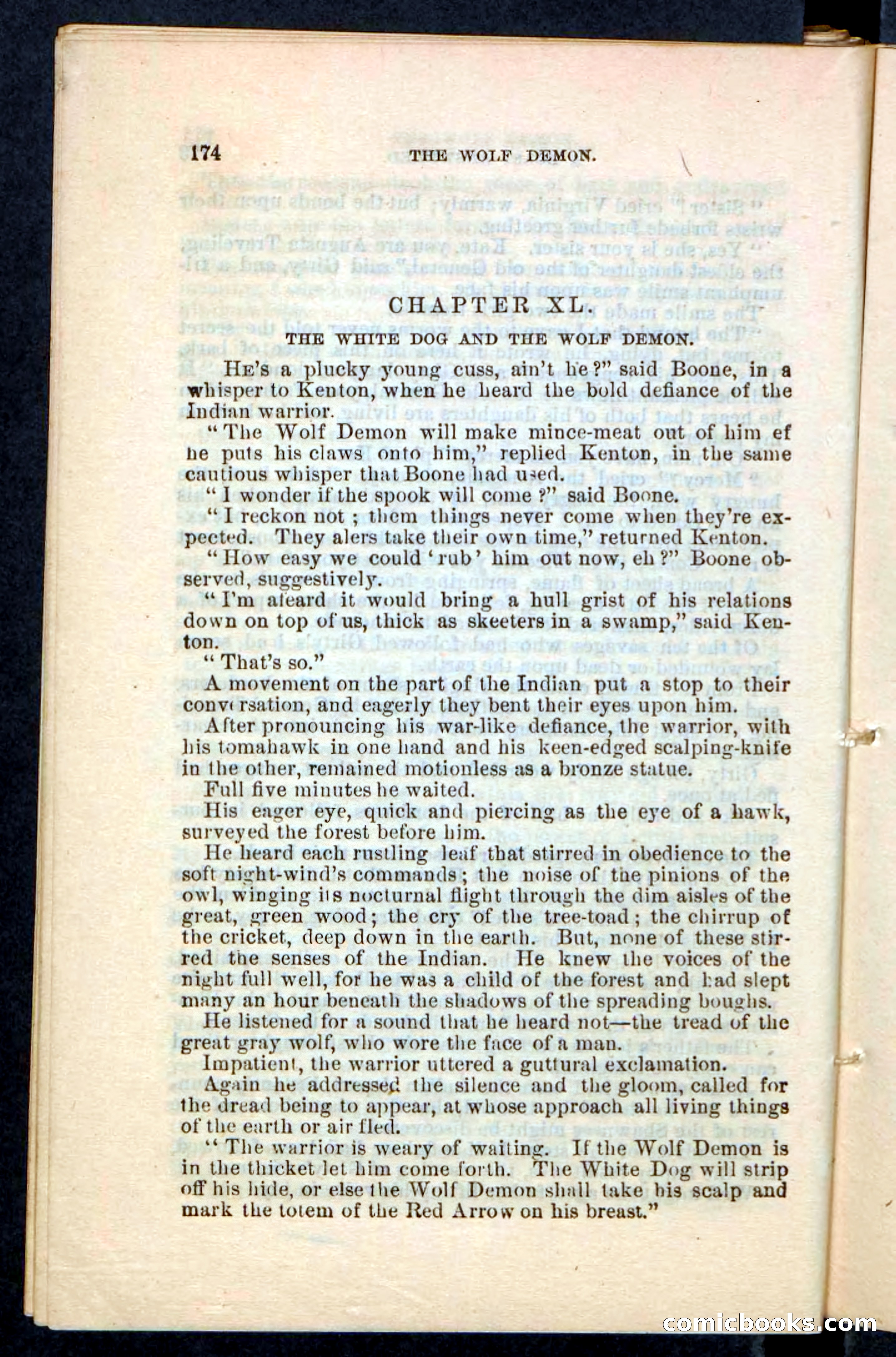 The Wolf-Demon, or The Red Arrow of the Far West — page 170 of 194