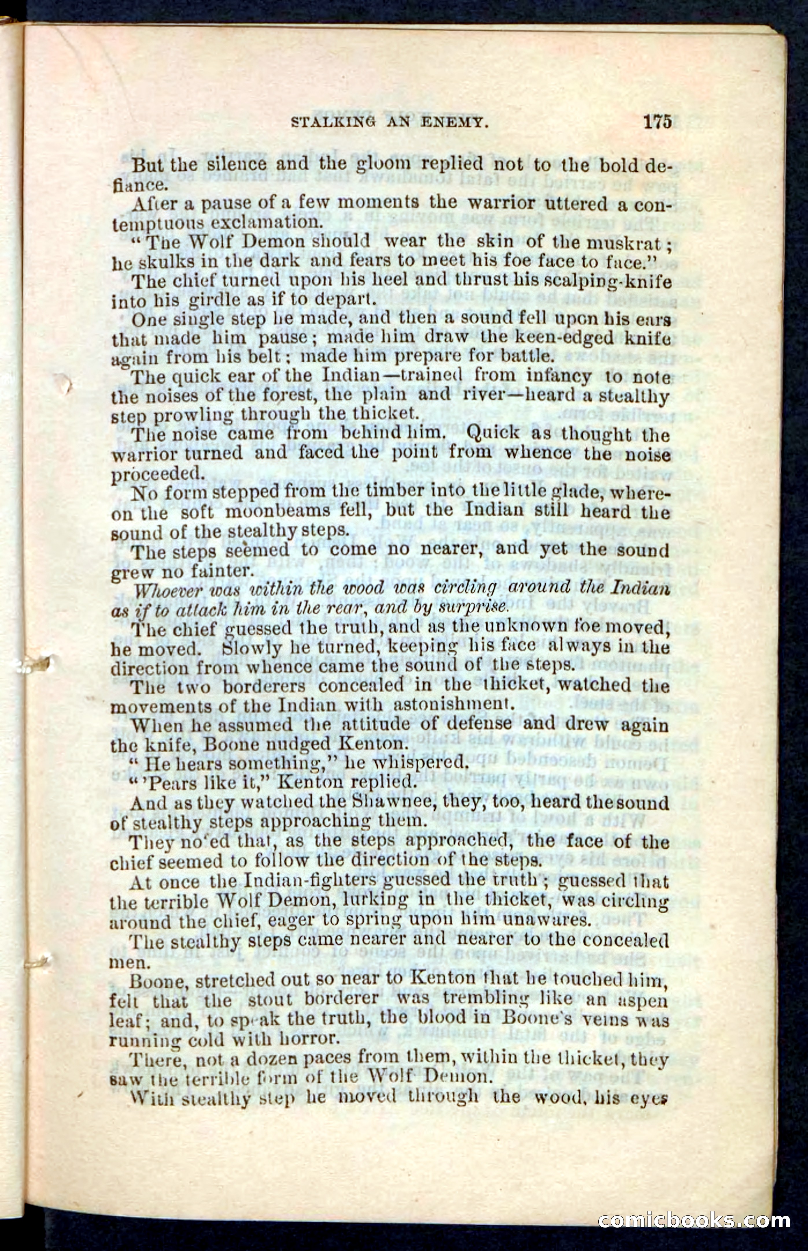 The Wolf-Demon, or The Red Arrow of the Far West — page 171 of 194