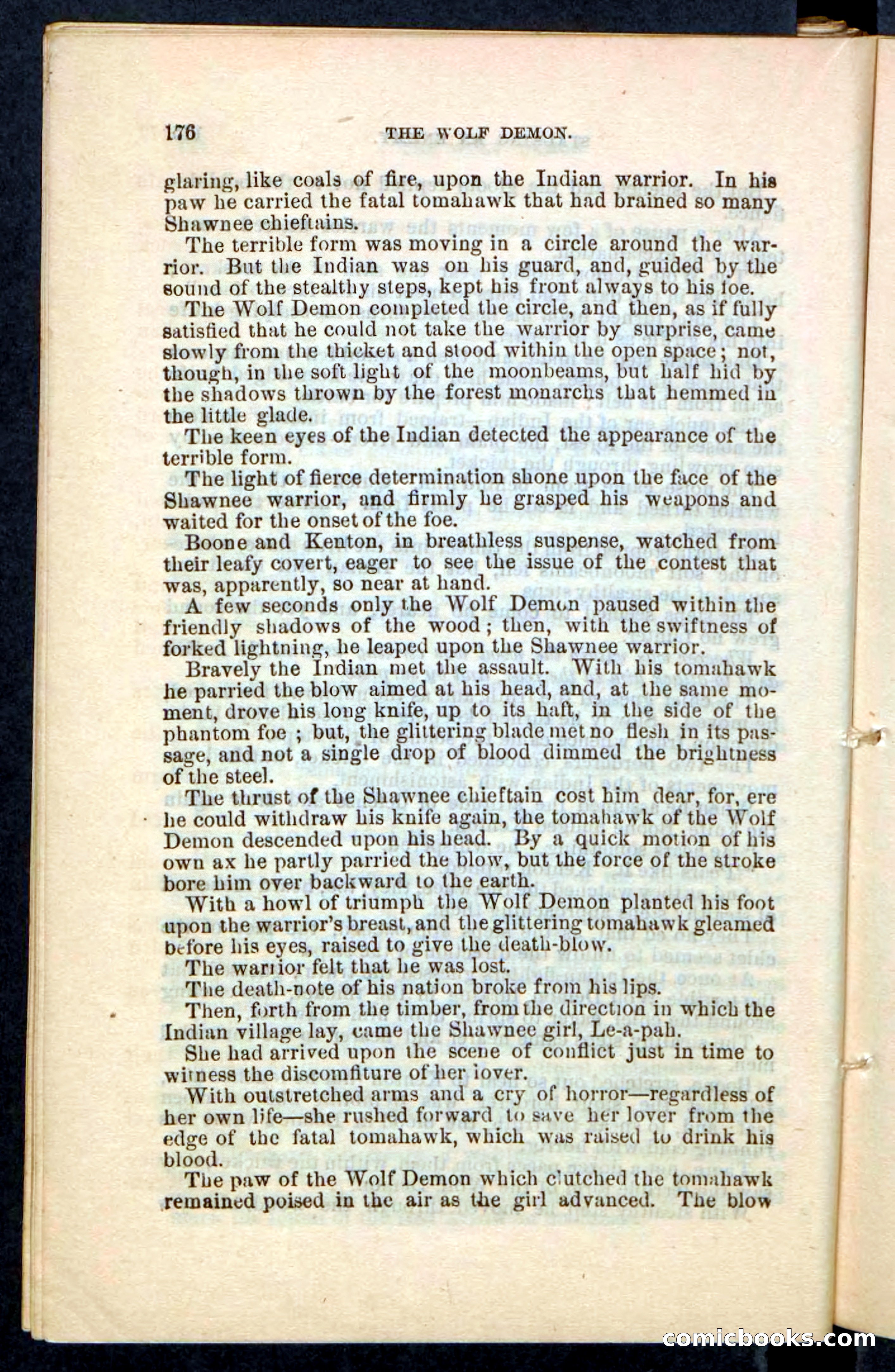 The Wolf-Demon, or The Red Arrow of the Far West — page 172 of 194