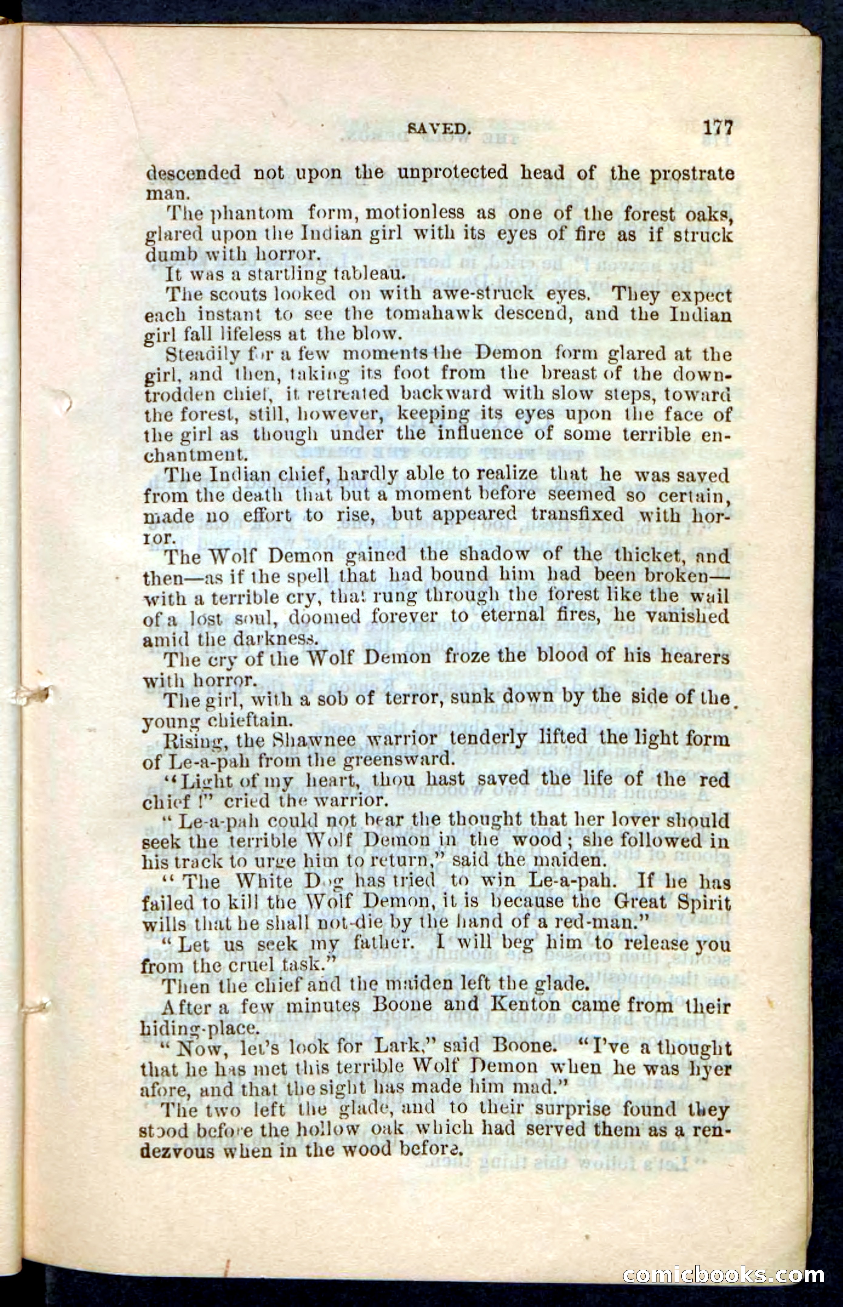 The Wolf-Demon, or The Red Arrow of the Far West — page 173 of 194