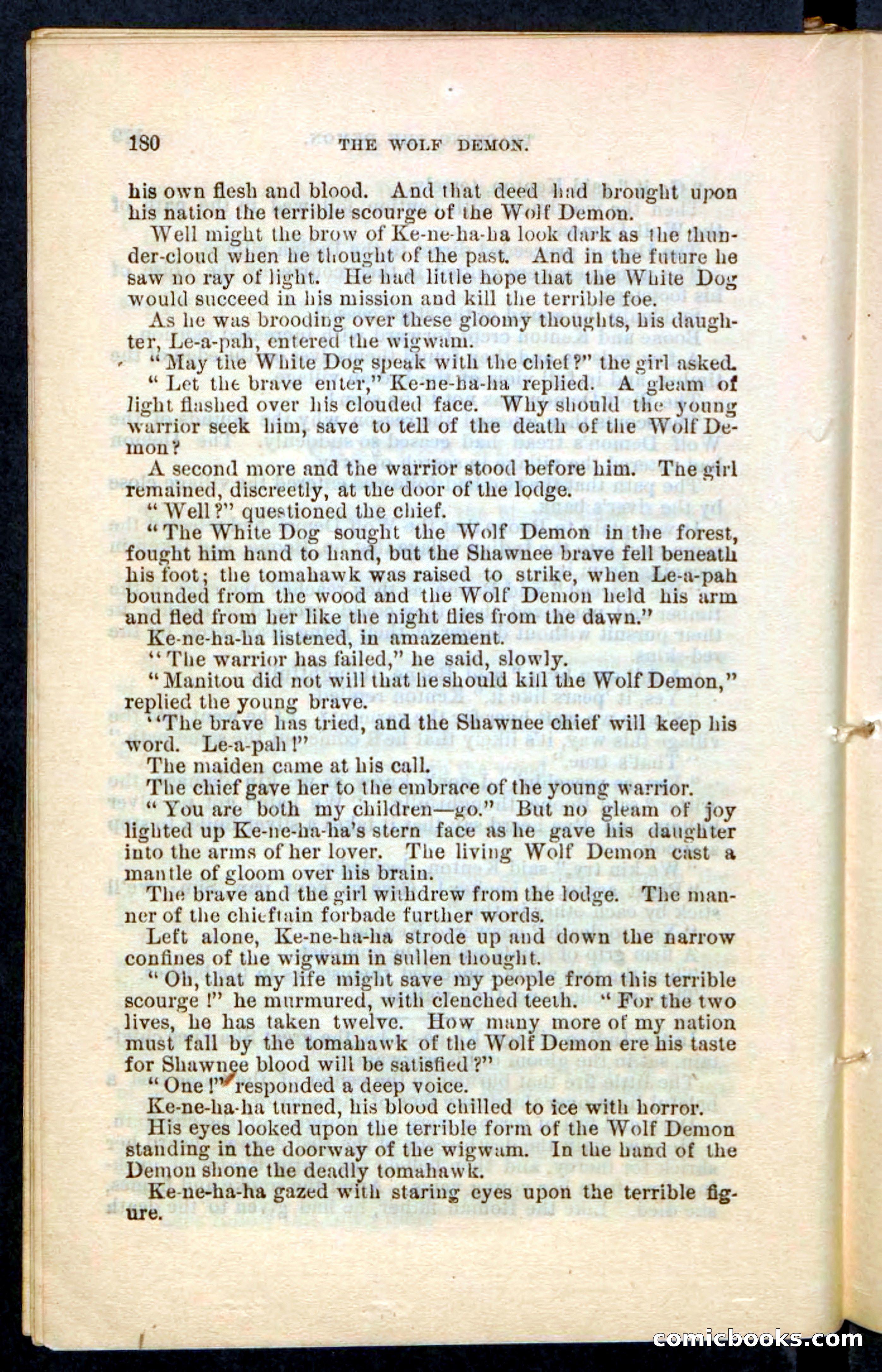 The Wolf-Demon, or The Red Arrow of the Far West — page 176 of 194