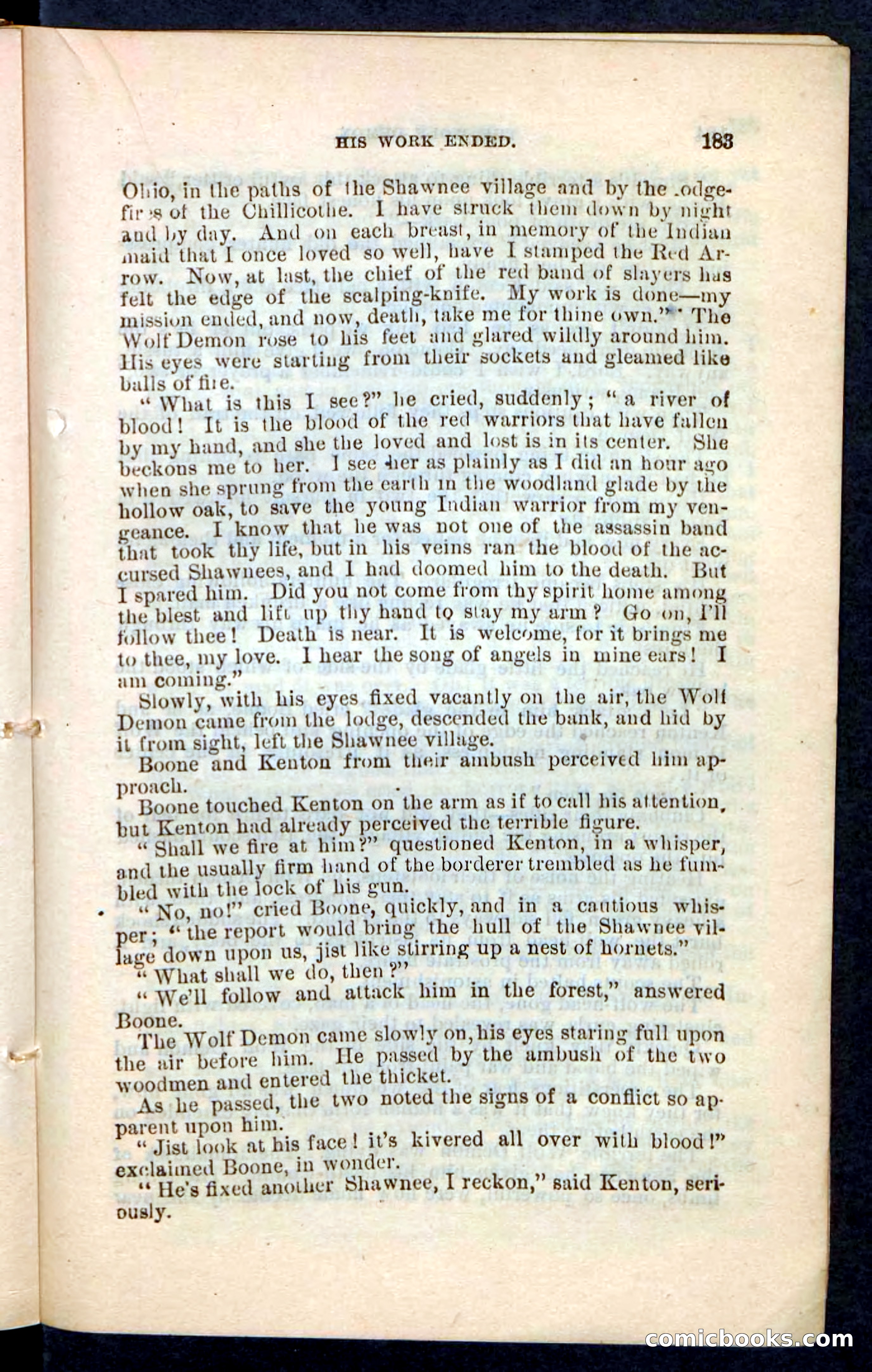 The Wolf-Demon, or The Red Arrow of the Far West — page 179 of 194