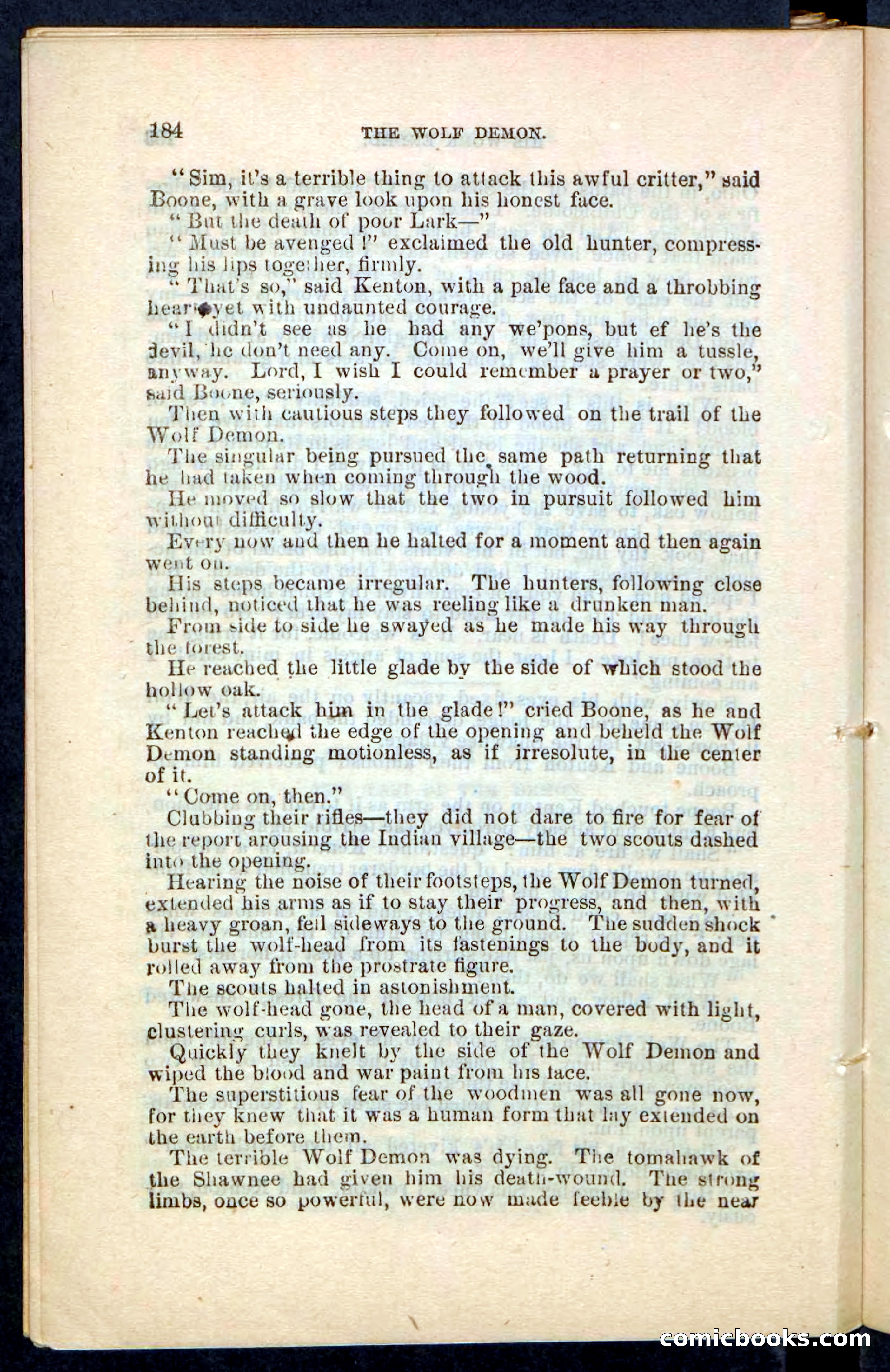 The Wolf-Demon, or The Red Arrow of the Far West — page 180 of 194