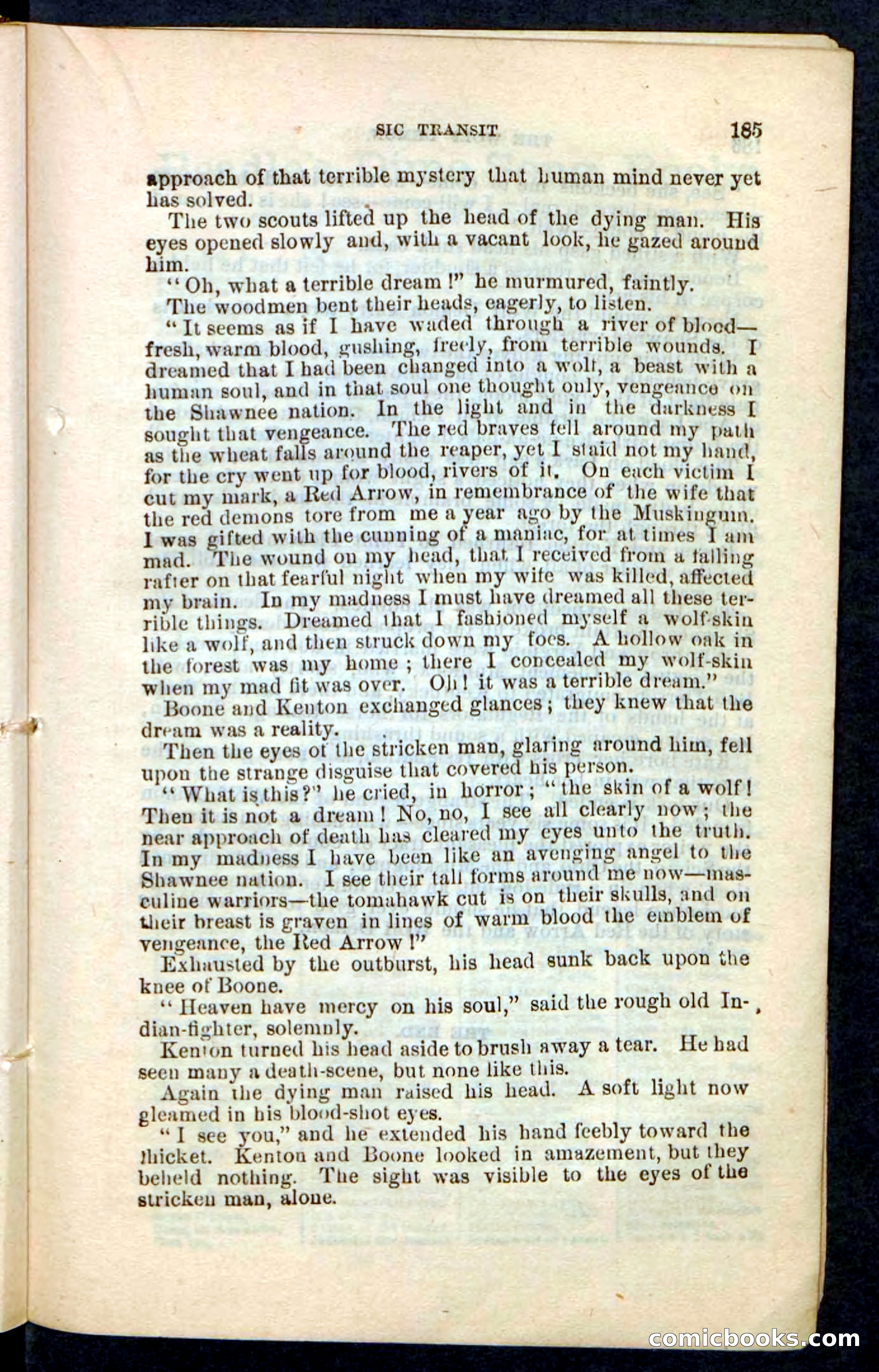 The Wolf-Demon, or The Red Arrow of the Far West — page 181 of 194