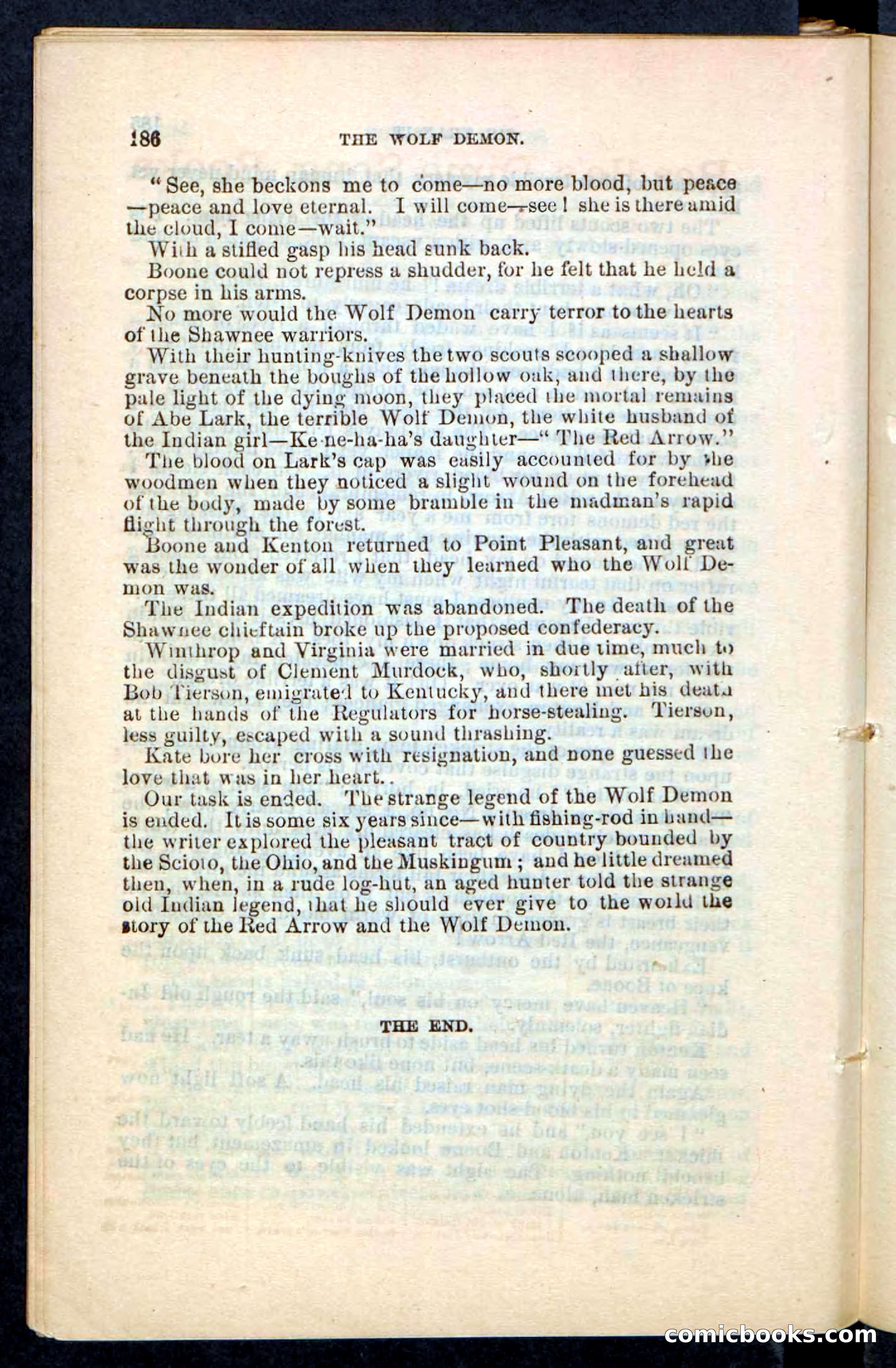 The Wolf-Demon, or The Red Arrow of the Far West — page 182 of 194