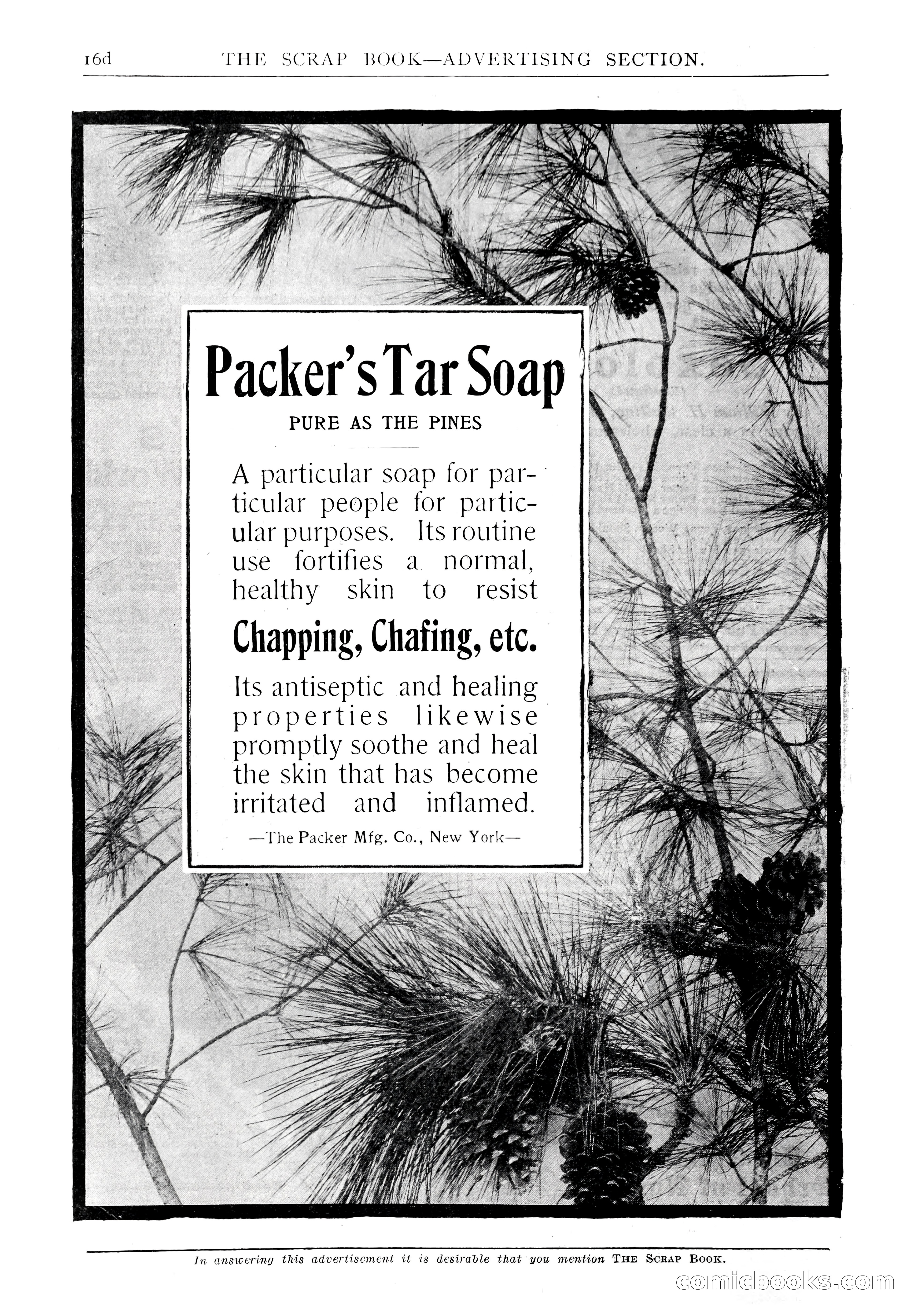 The Scrap Book, December 1909 — page 22 of 296