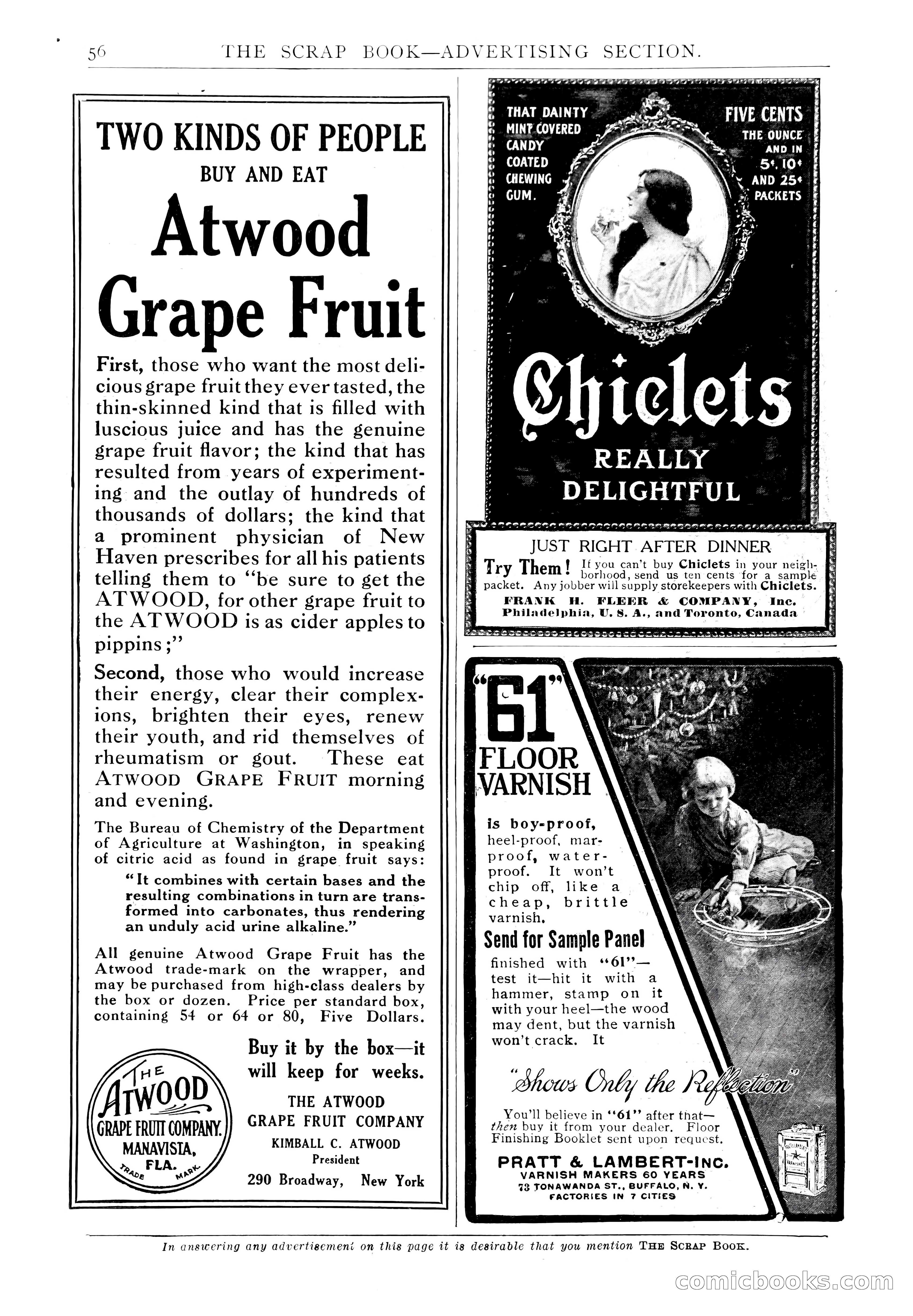 The Scrap Book, December 1909 — page 222 of 296