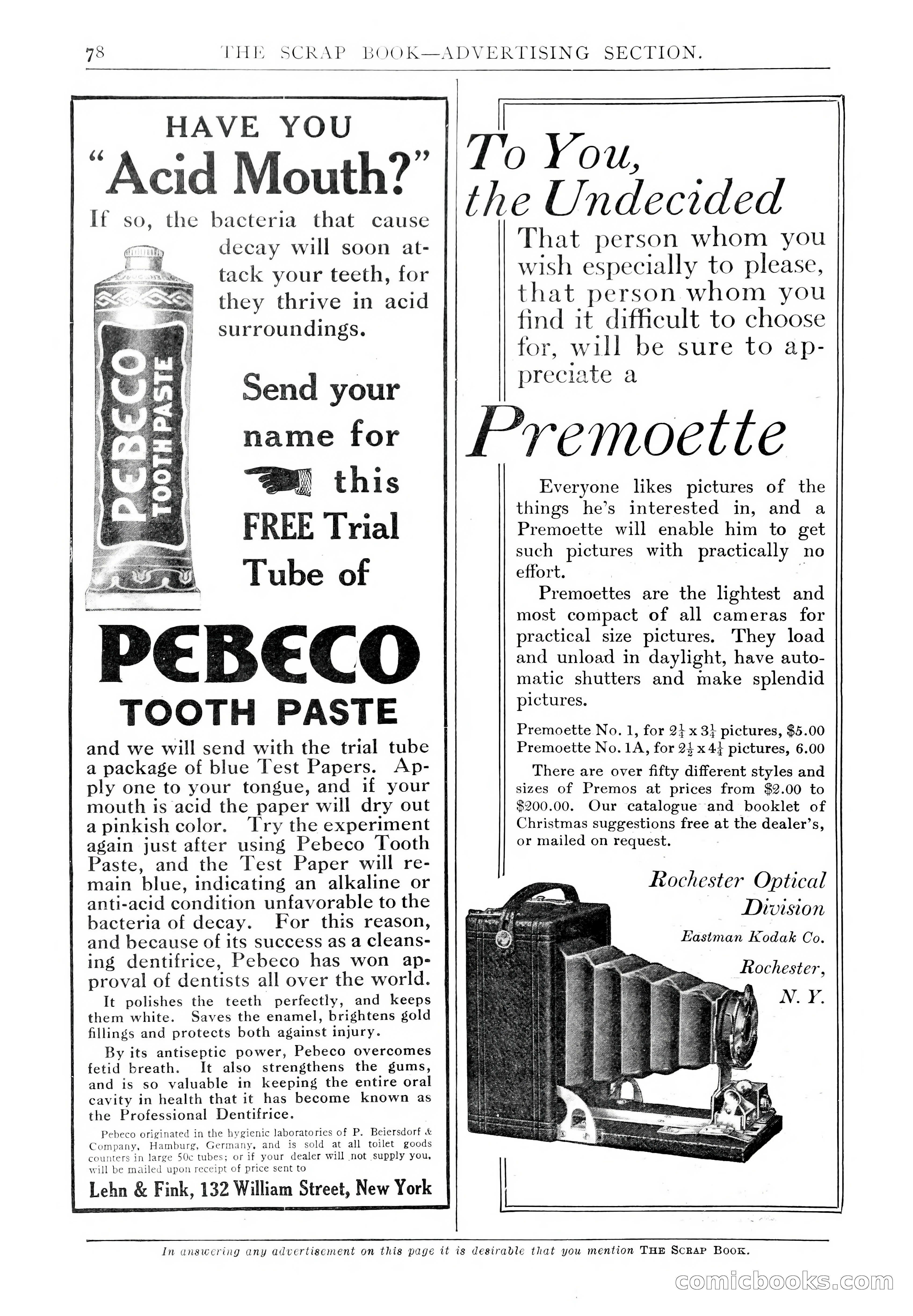 The Scrap Book, December 1909 — page 244 of 296