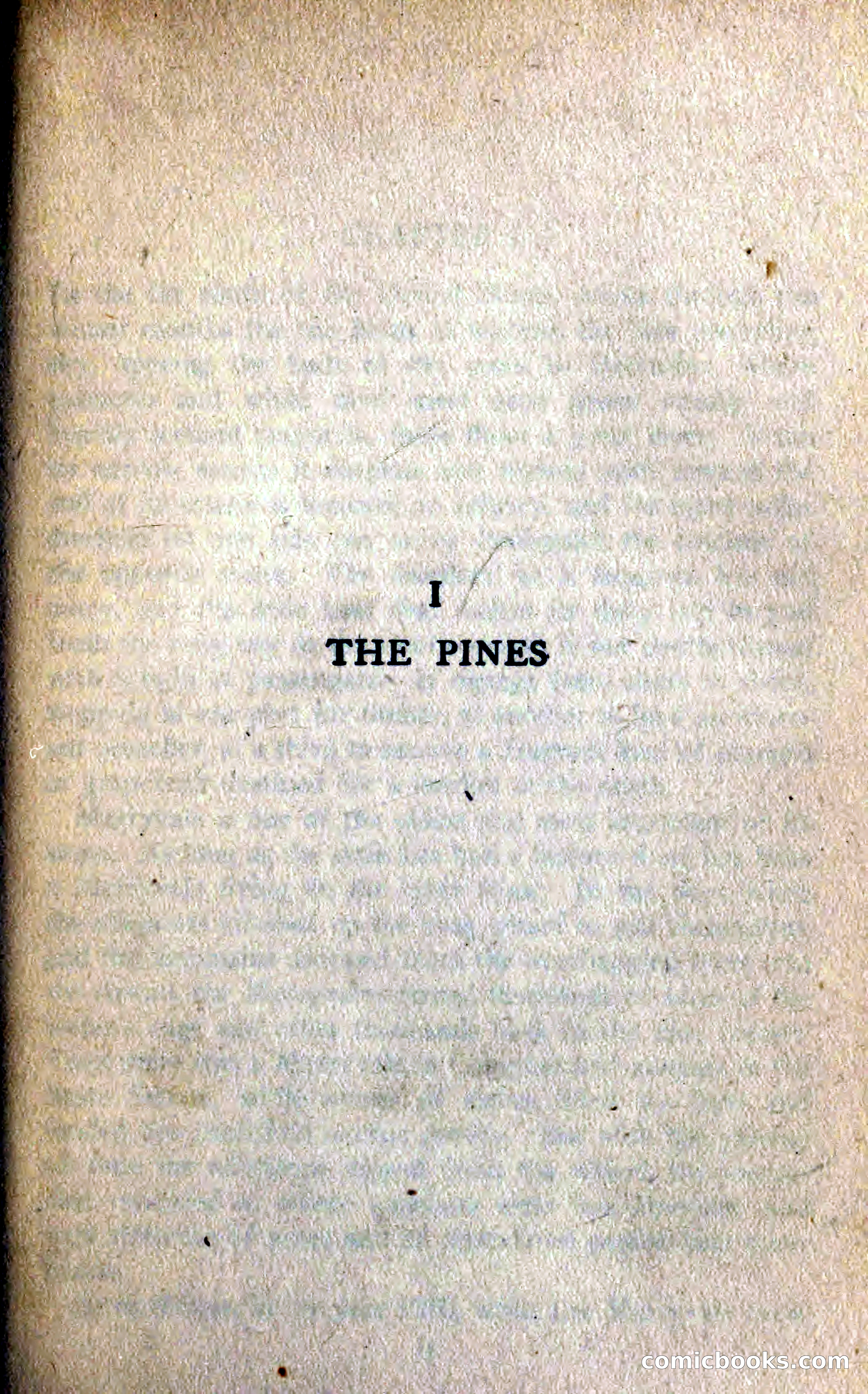 The Shadow — page 21 of 368