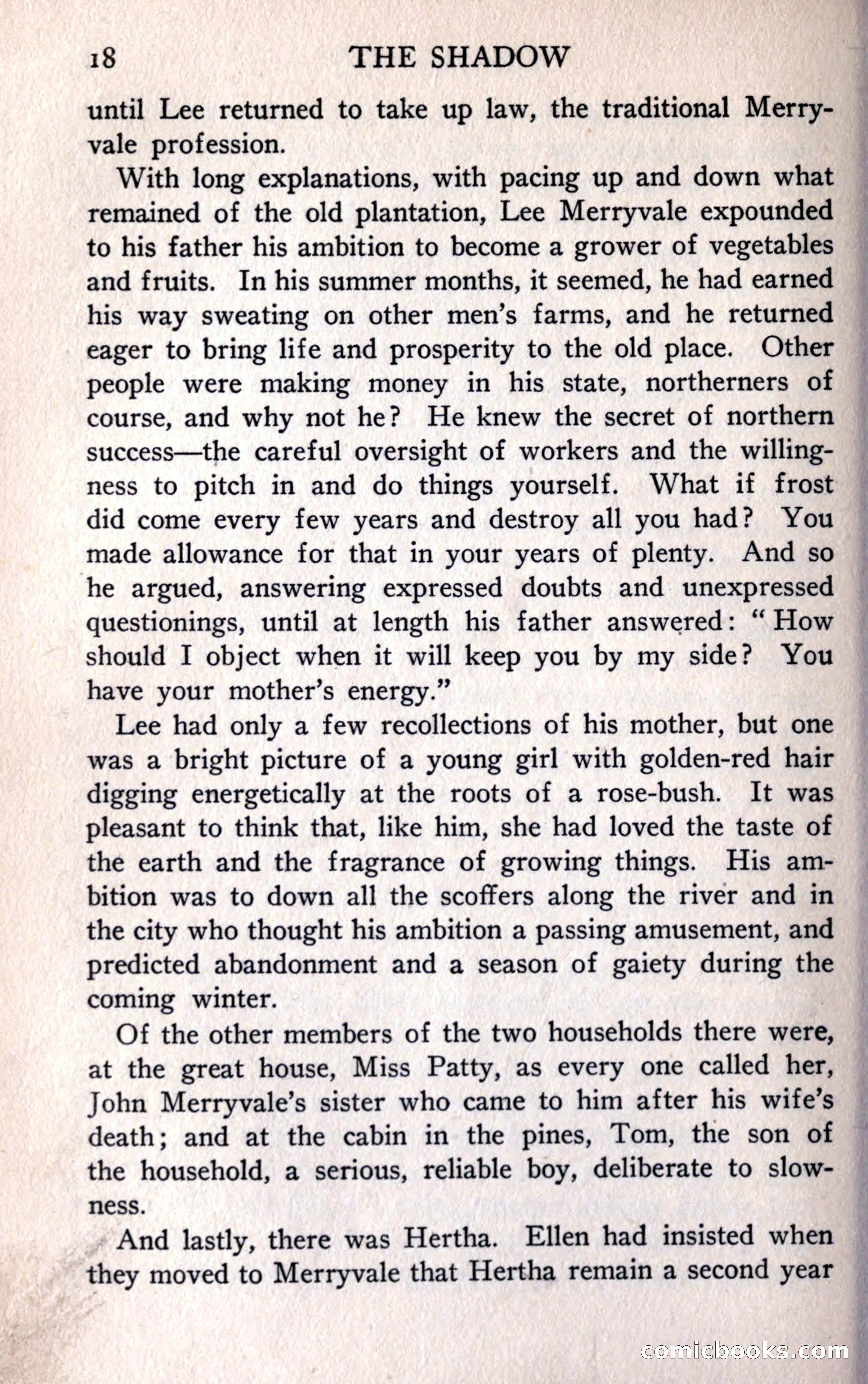 The Shadow — page 30 of 368