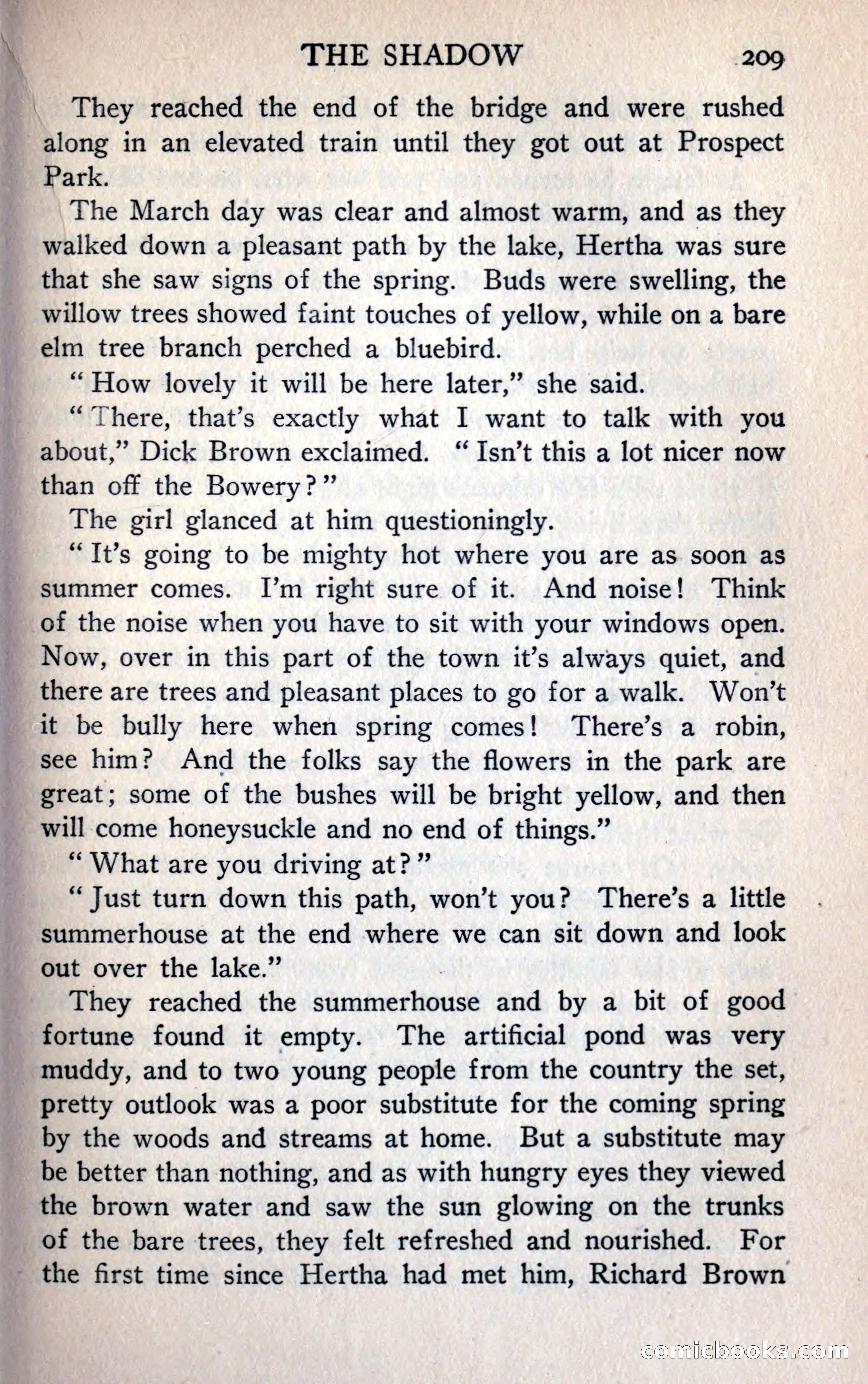 The Shadow — page 221 of 368