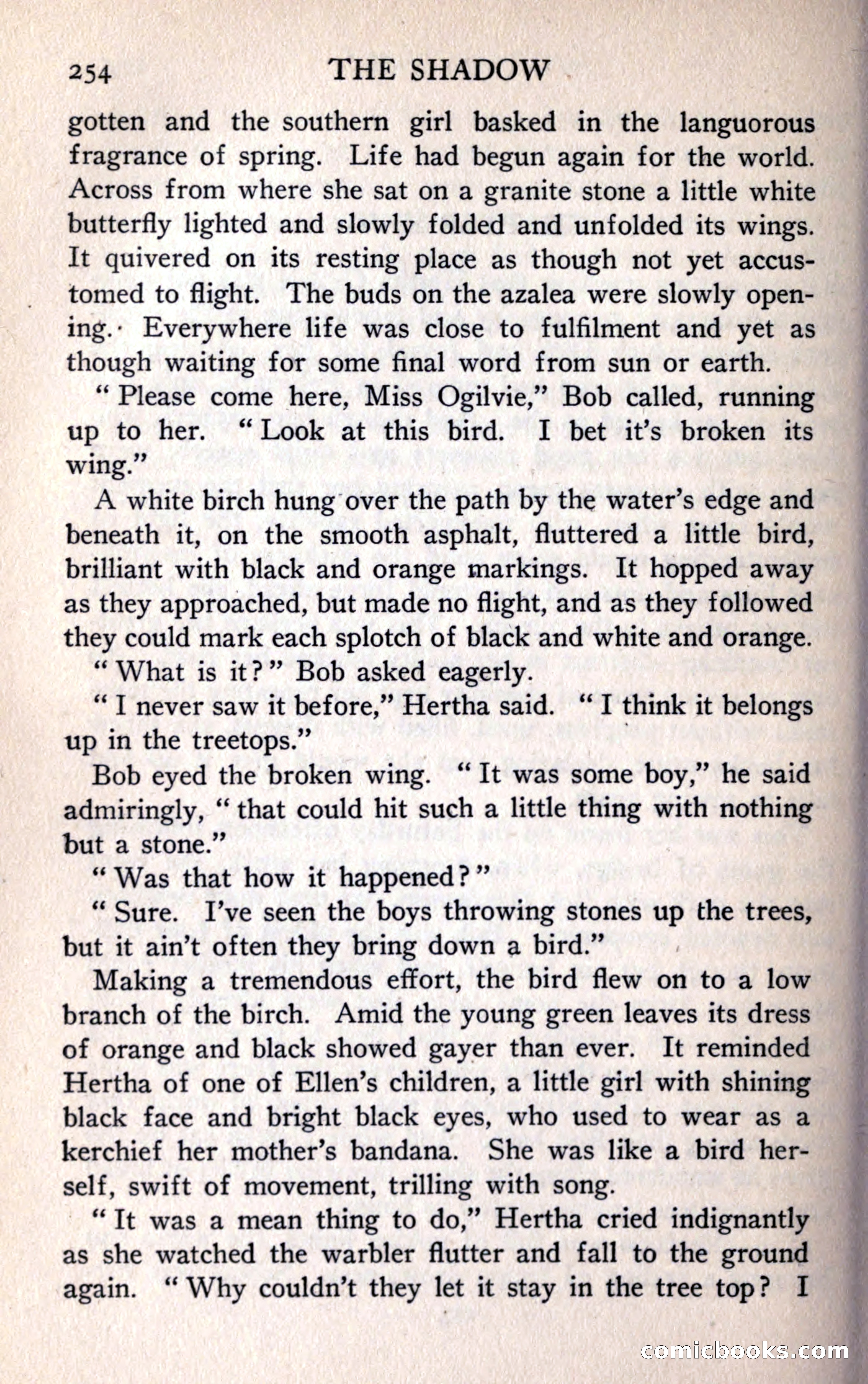 The Shadow — page 266 of 368