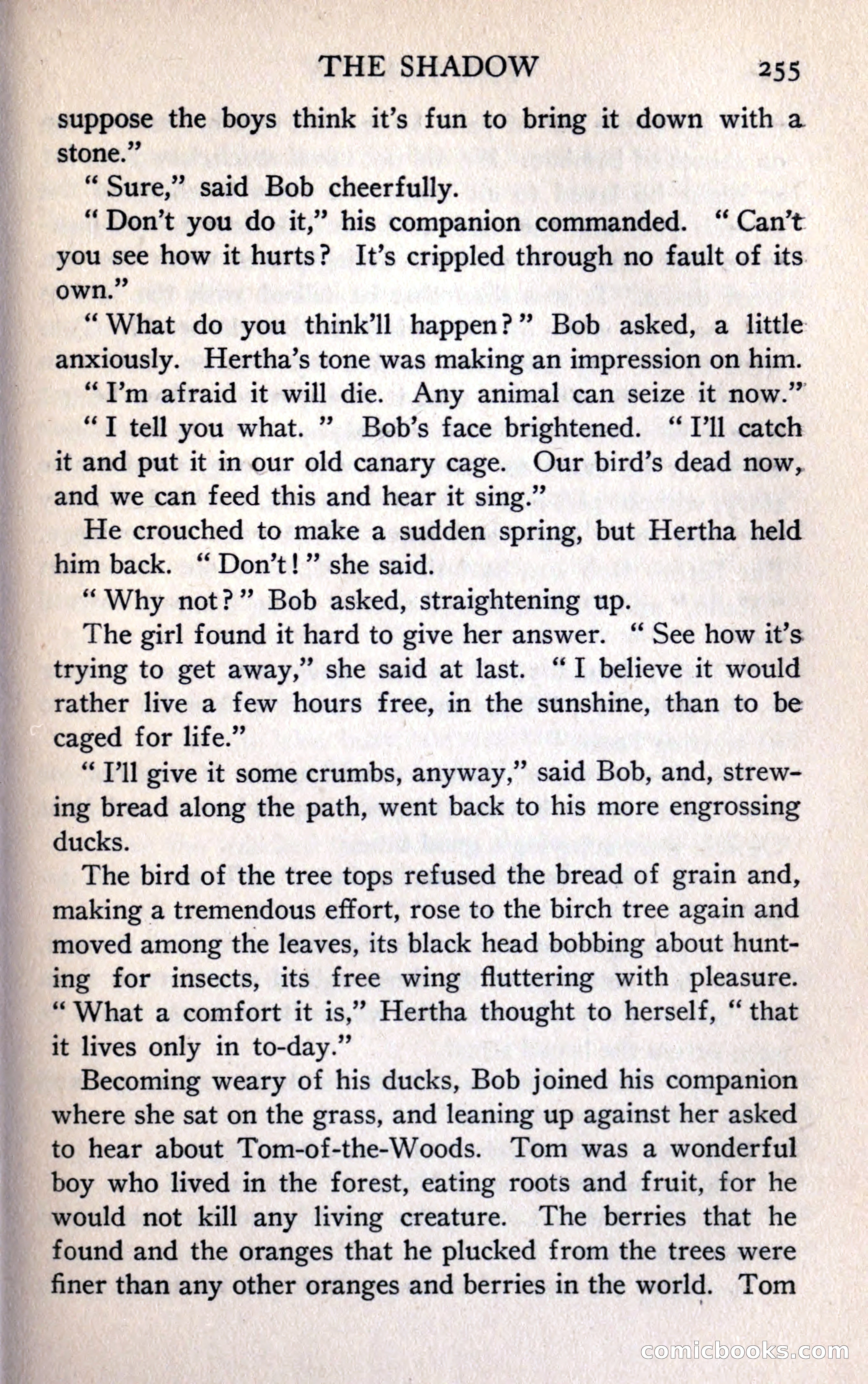 The Shadow — page 267 of 368