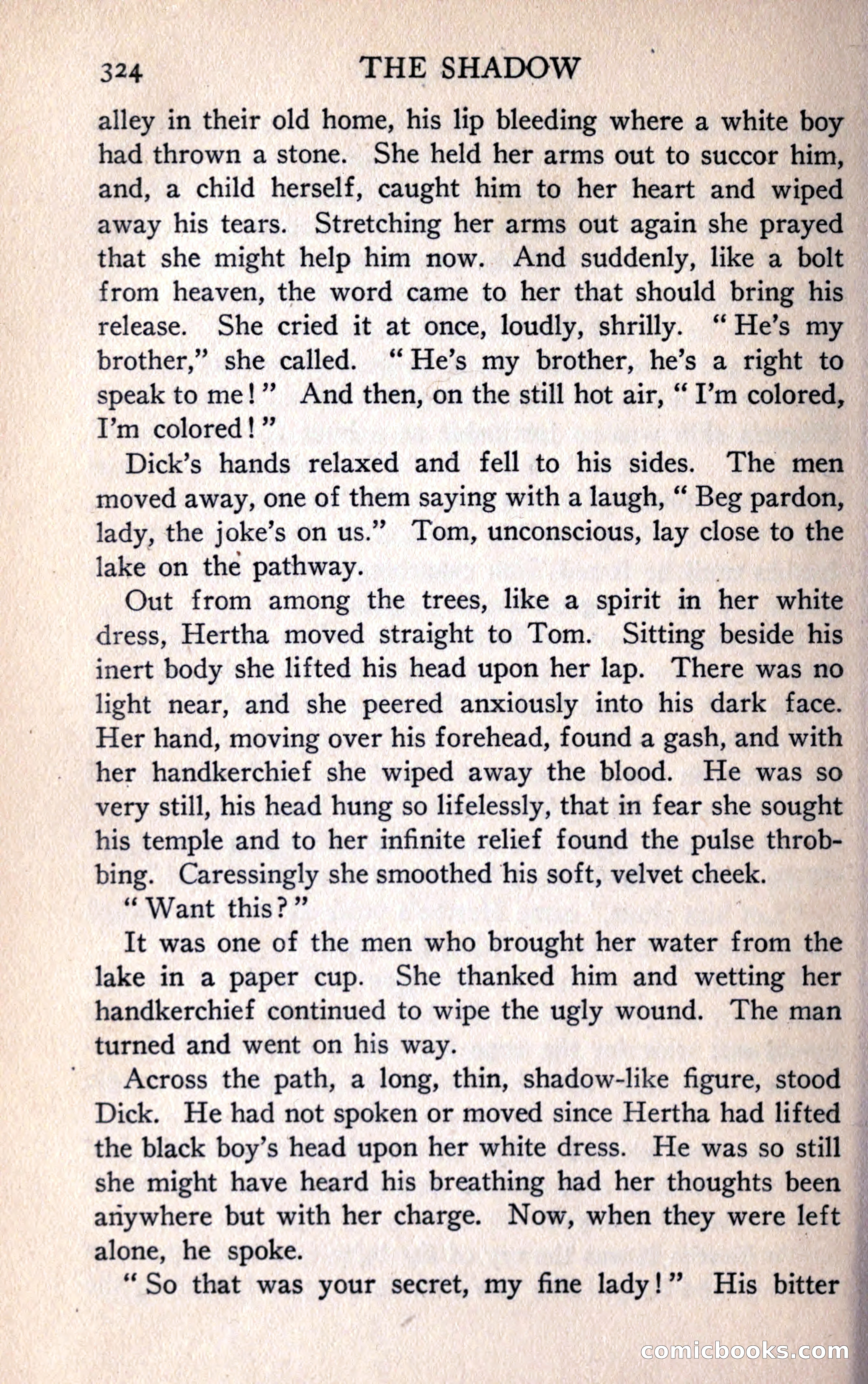 The Shadow — page 336 of 368