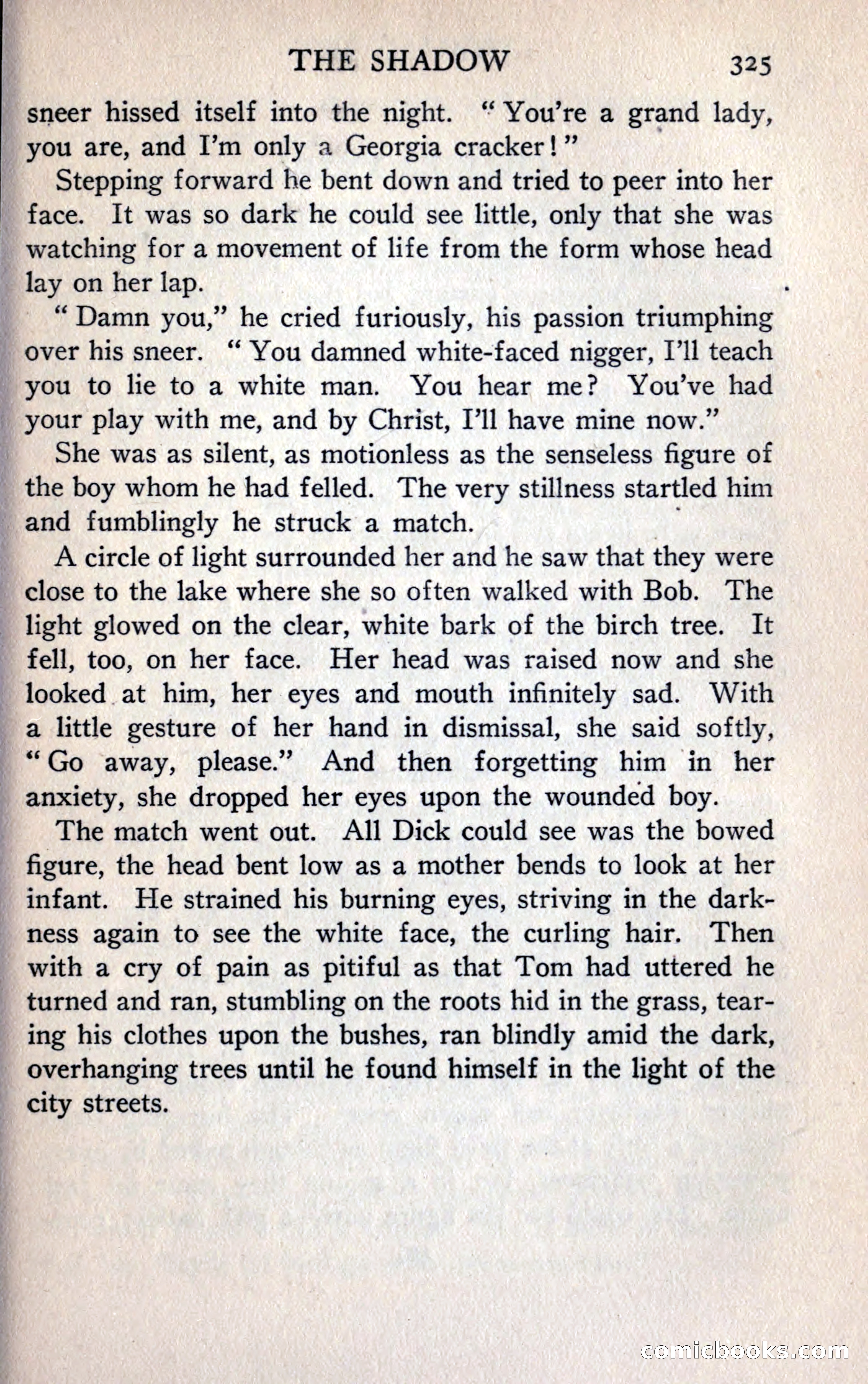 The Shadow — page 337 of 368