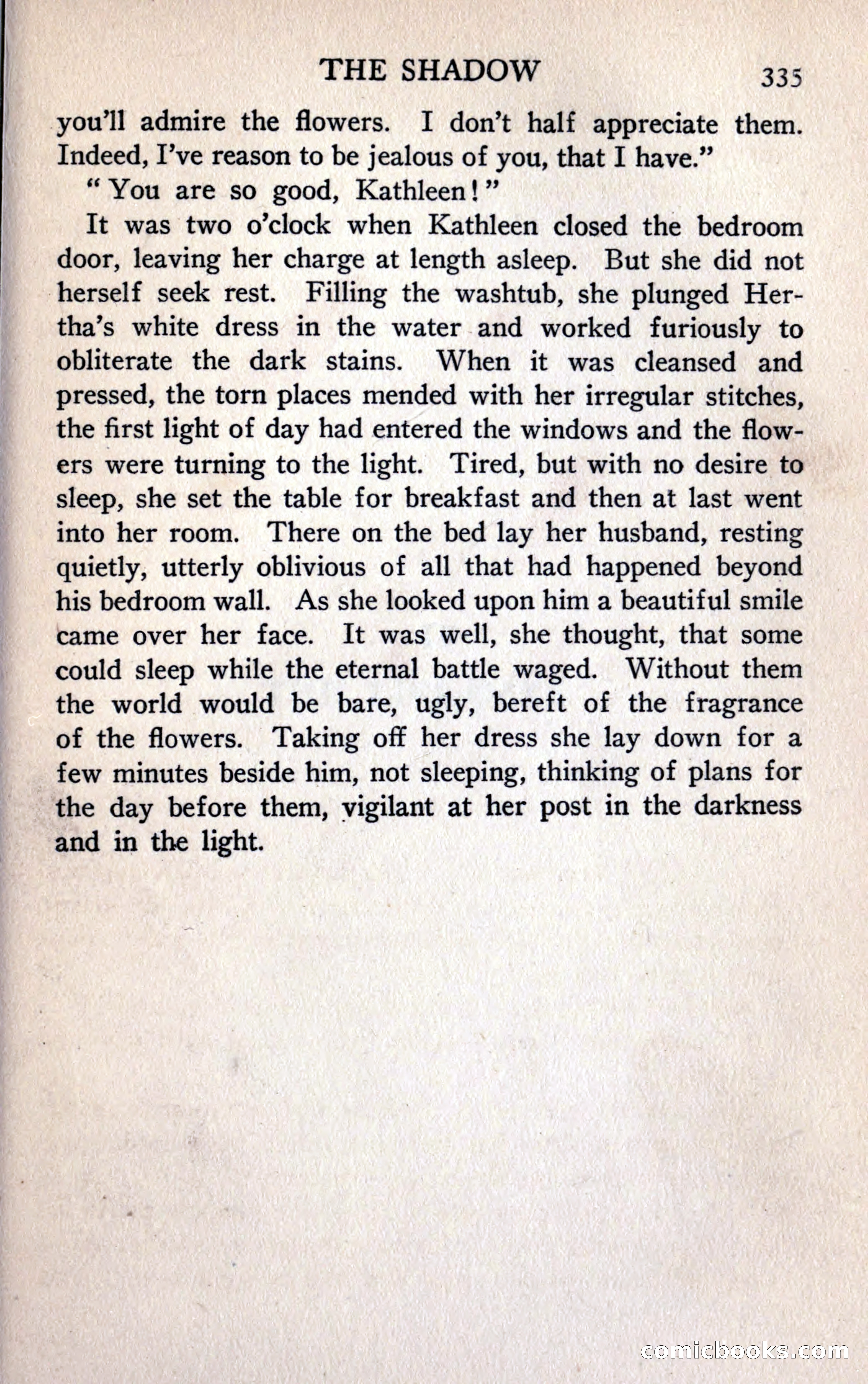 The Shadow — page 347 of 368