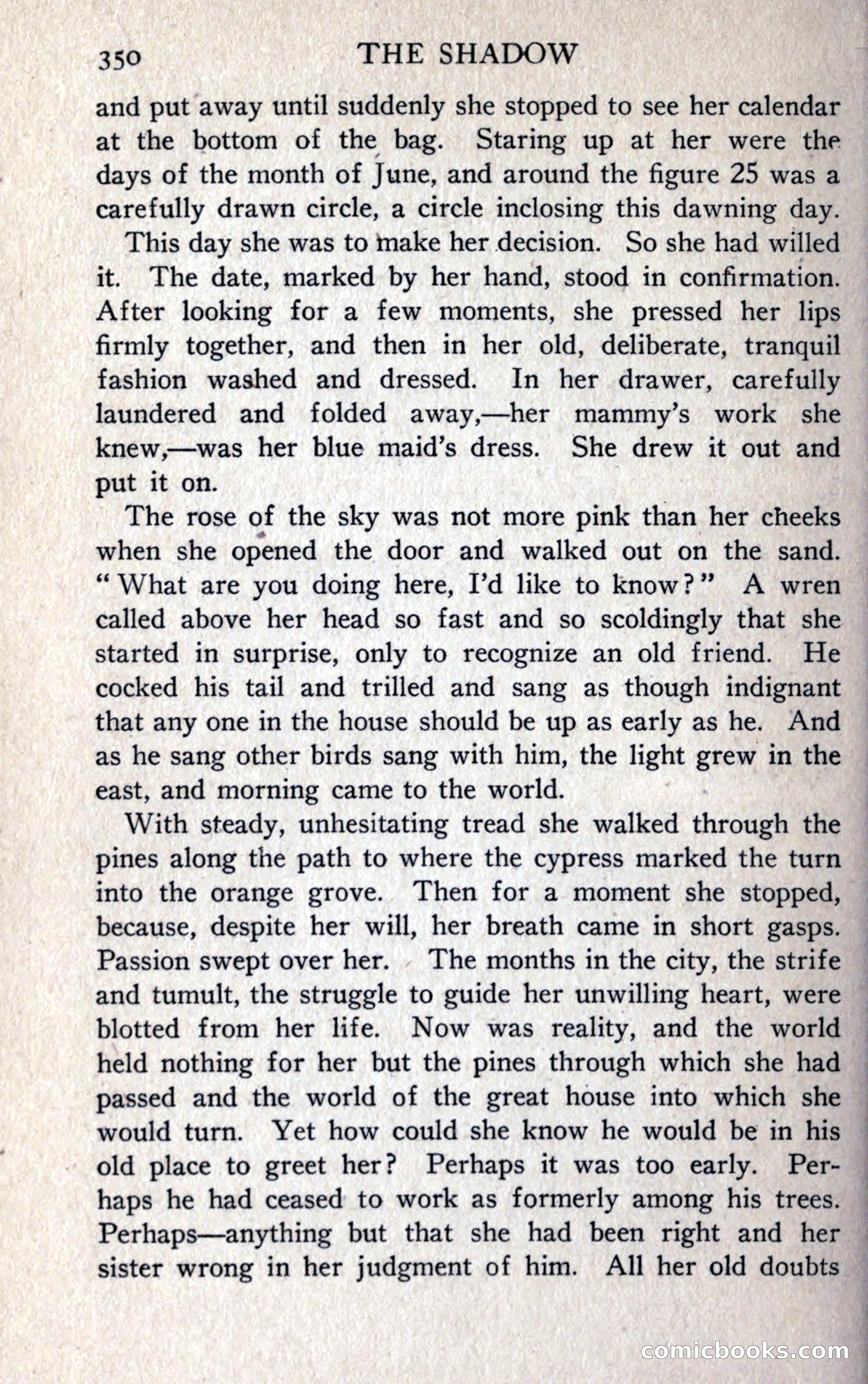 The Shadow — page 362 of 368