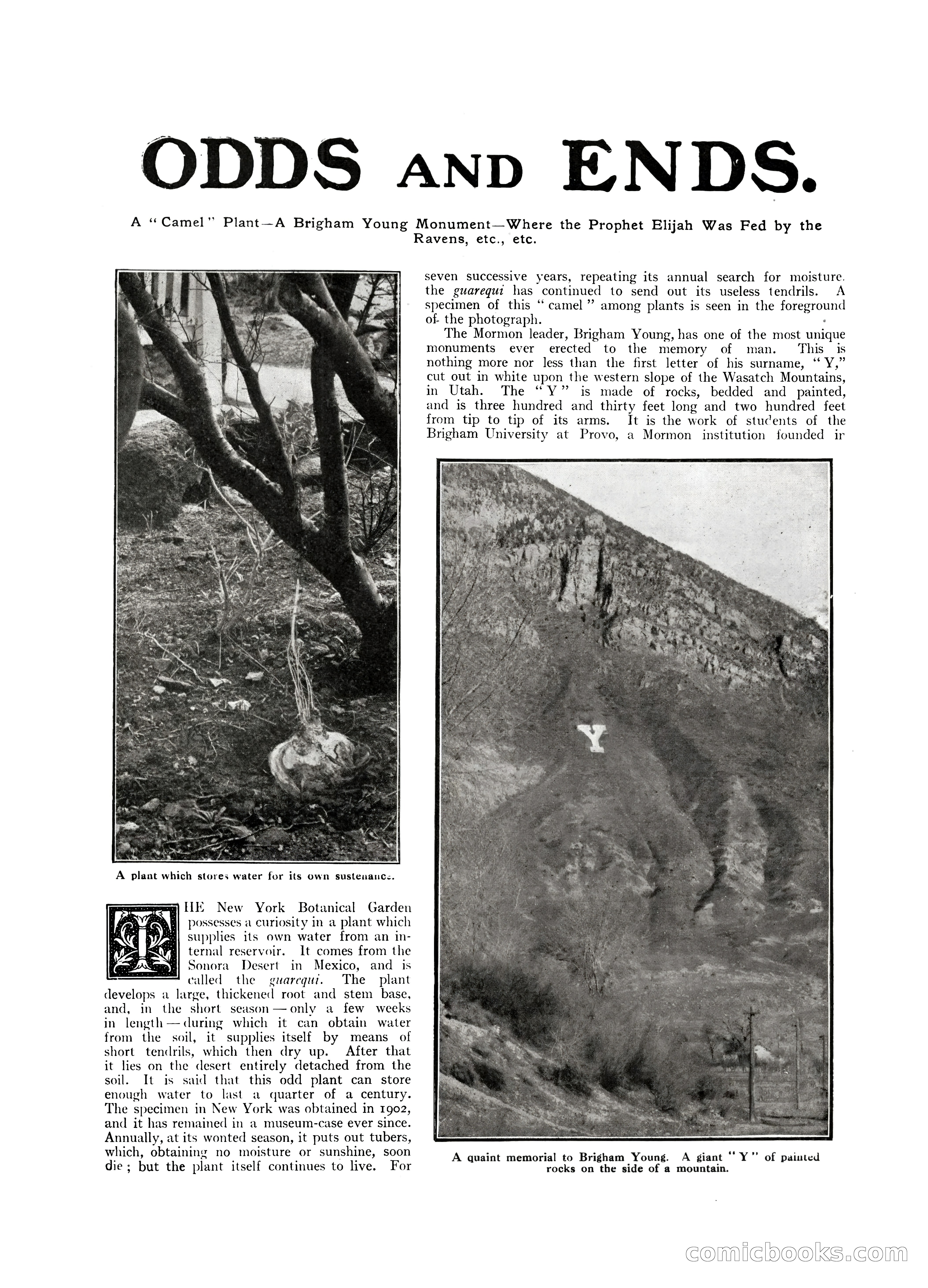 The Wide World, July 1915 — page 106 of 116