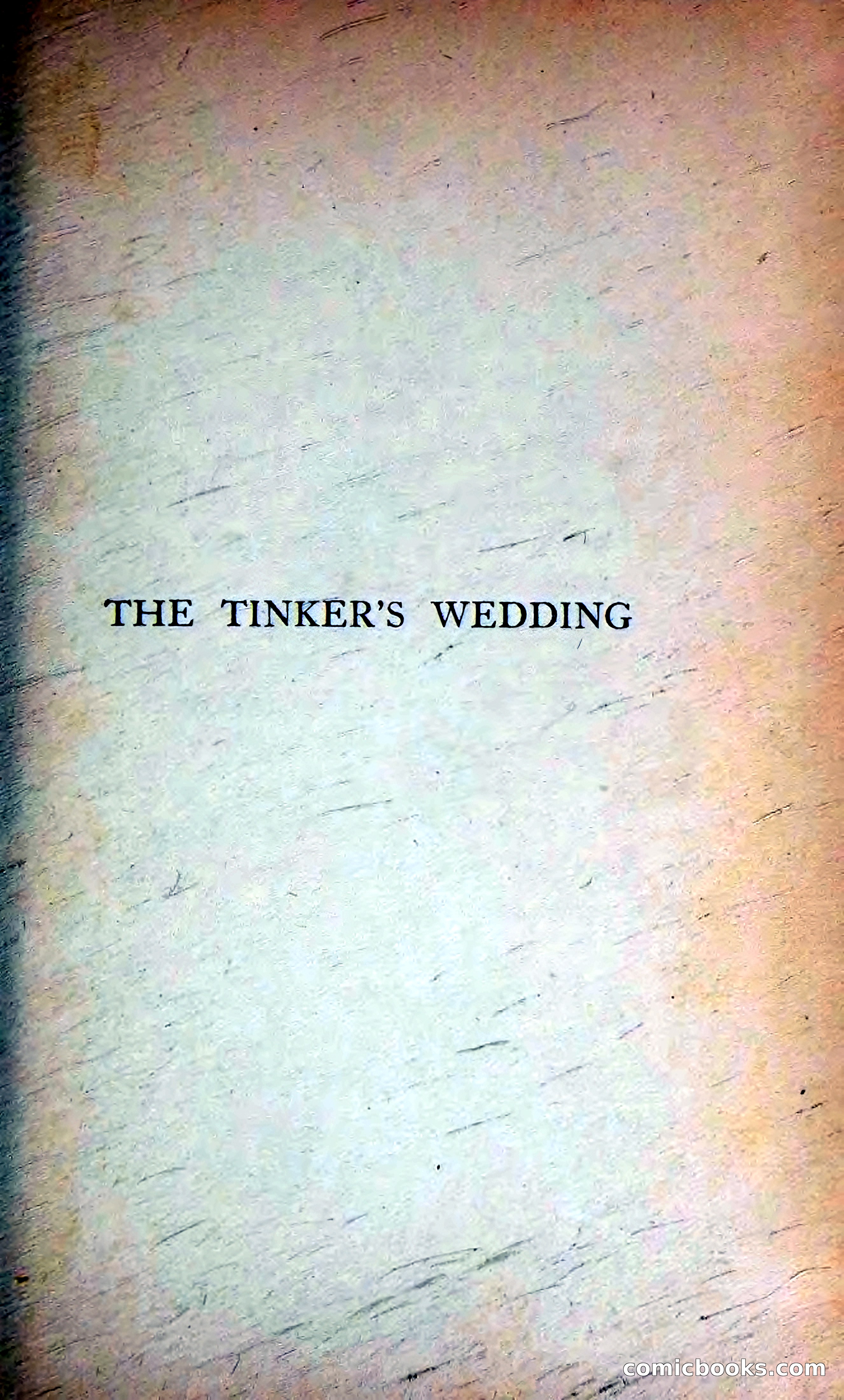 The Tinker's Wedding / Riders to the Sea / The Shadow of the Glen — page 14 of 133