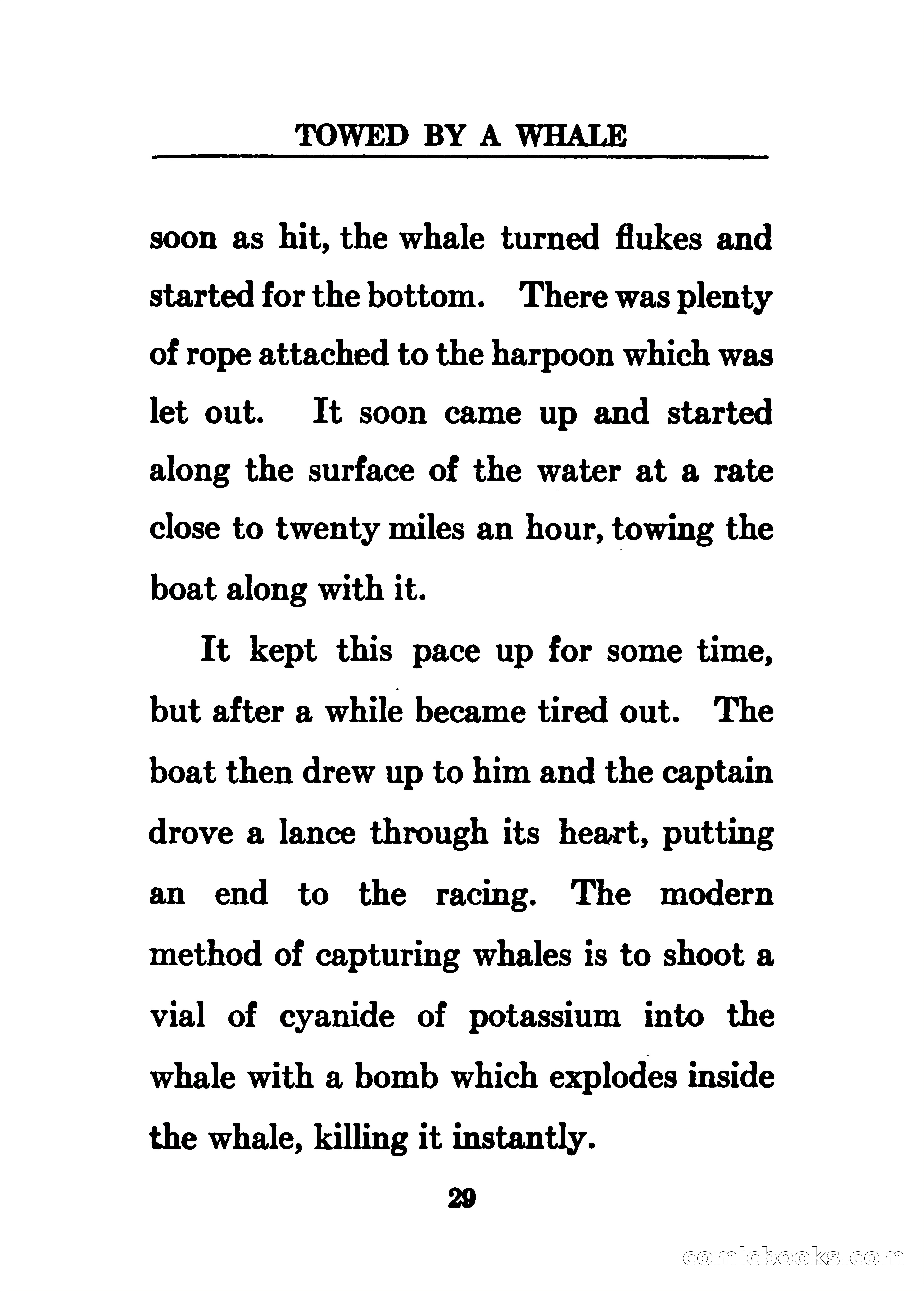 Thrilling Adventures of the Whaler Alcyone — page 34 of 107