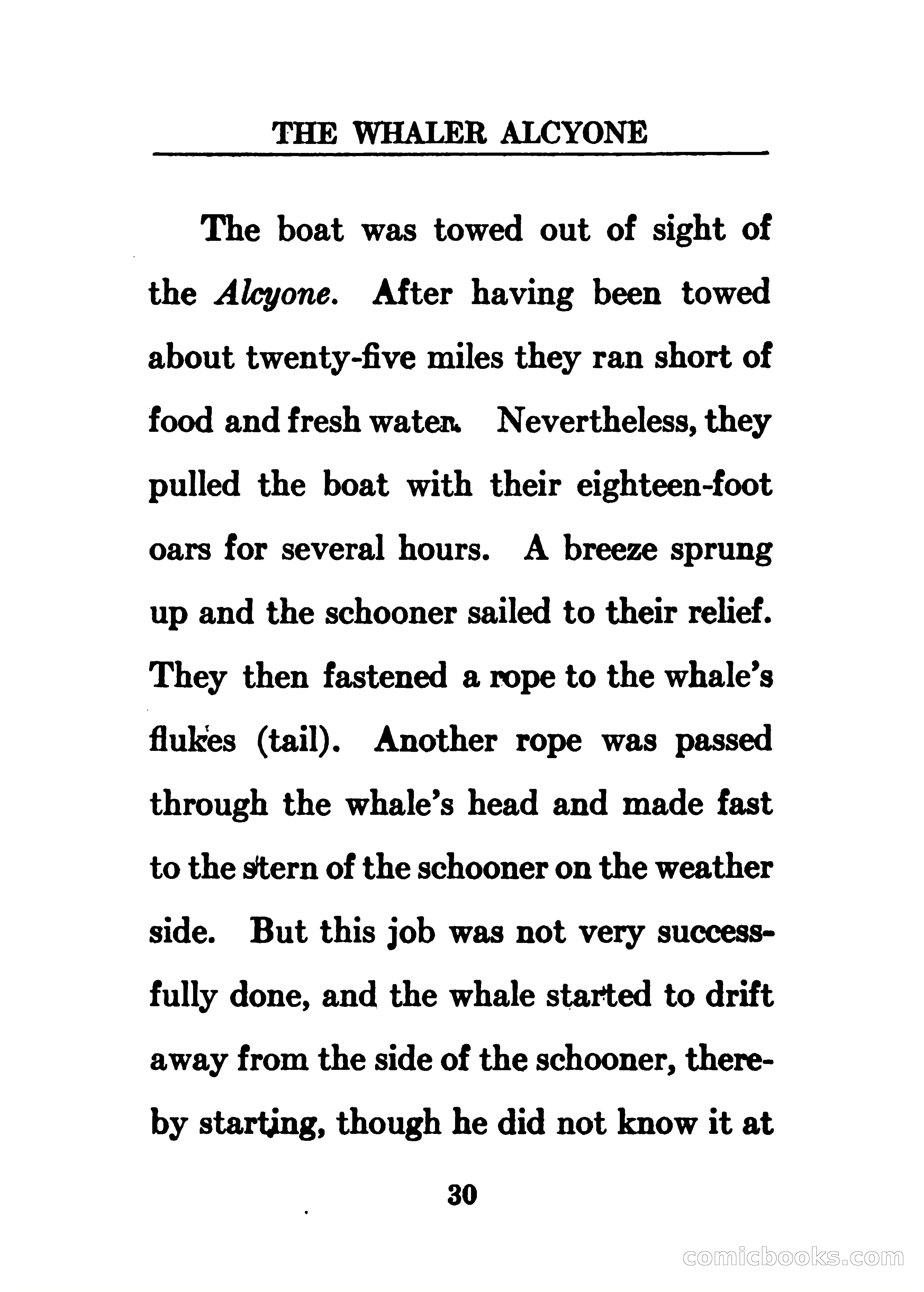Thrilling Adventures of the Whaler Alcyone — page 35 of 107