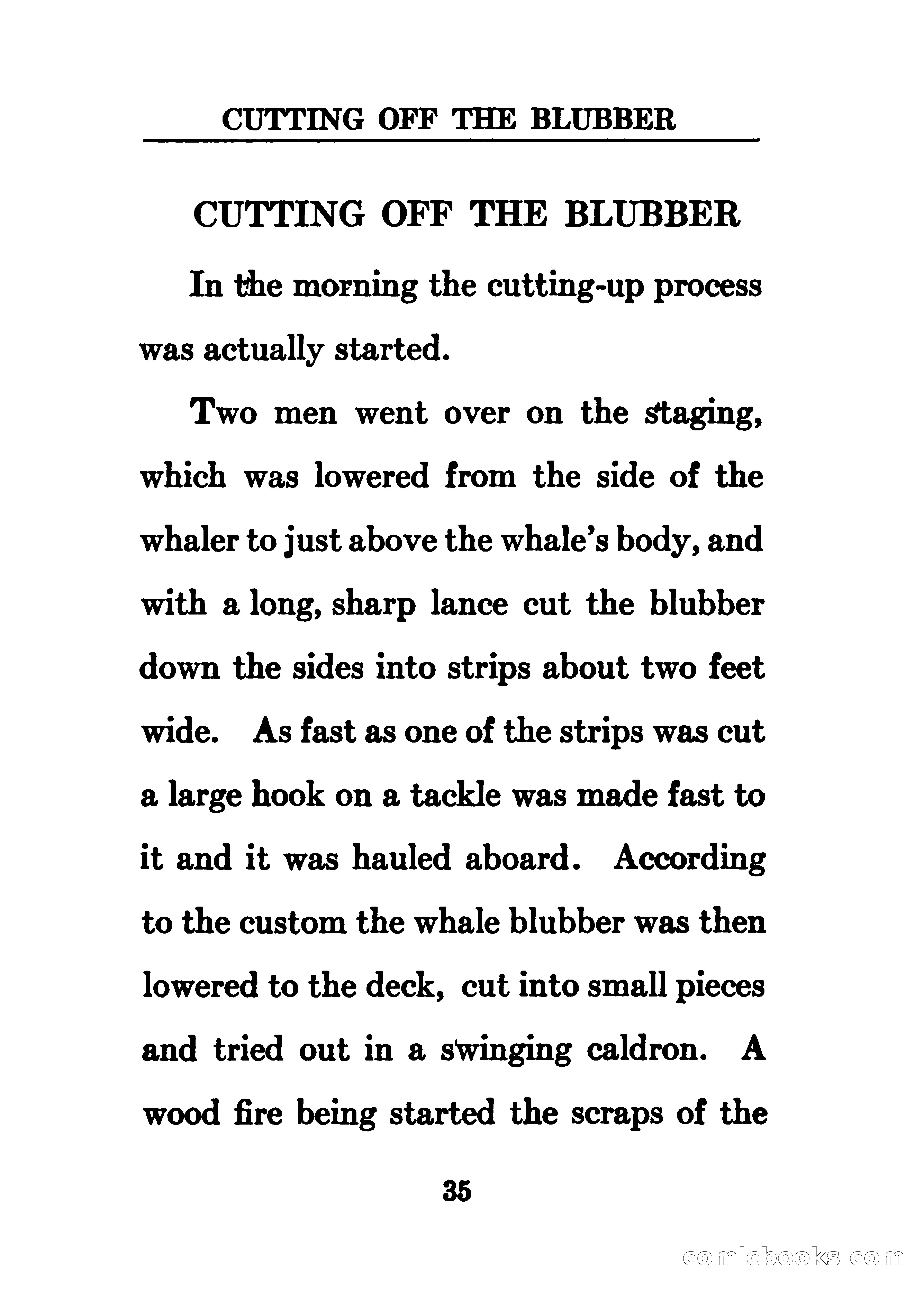 Thrilling Adventures of the Whaler Alcyone — page 40 of 107