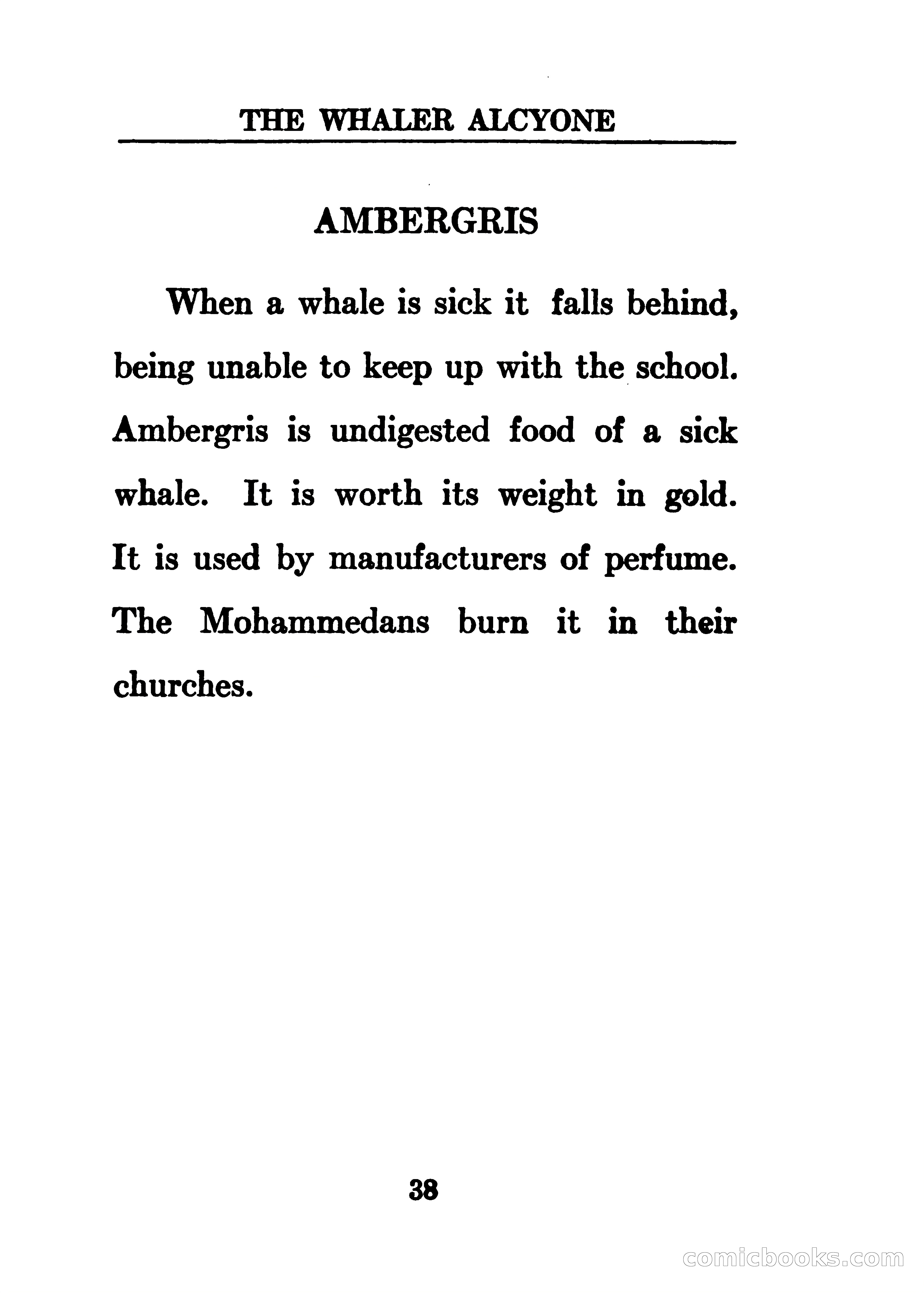 Thrilling Adventures of the Whaler Alcyone — page 43 of 107