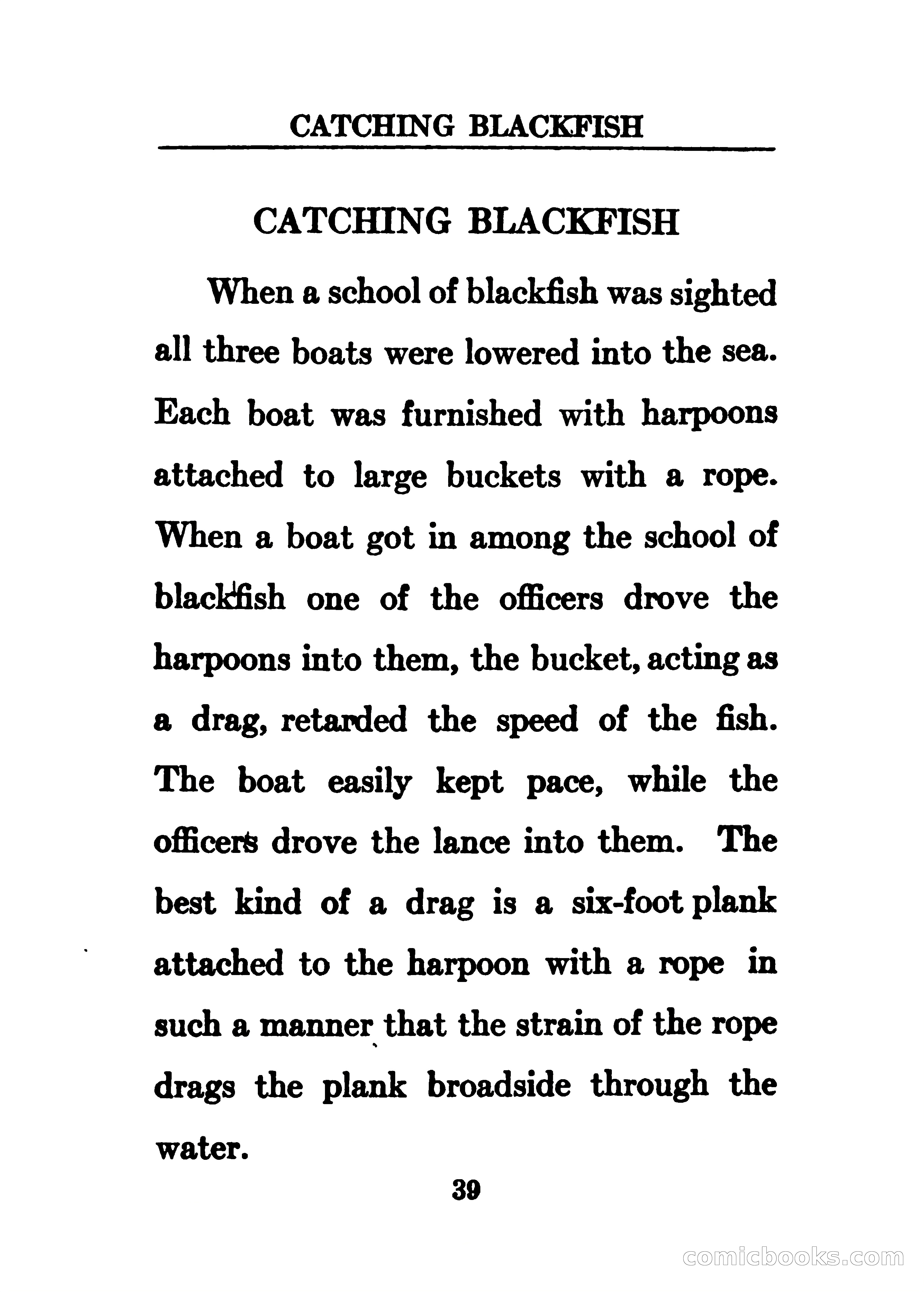 Thrilling Adventures of the Whaler Alcyone — page 44 of 107