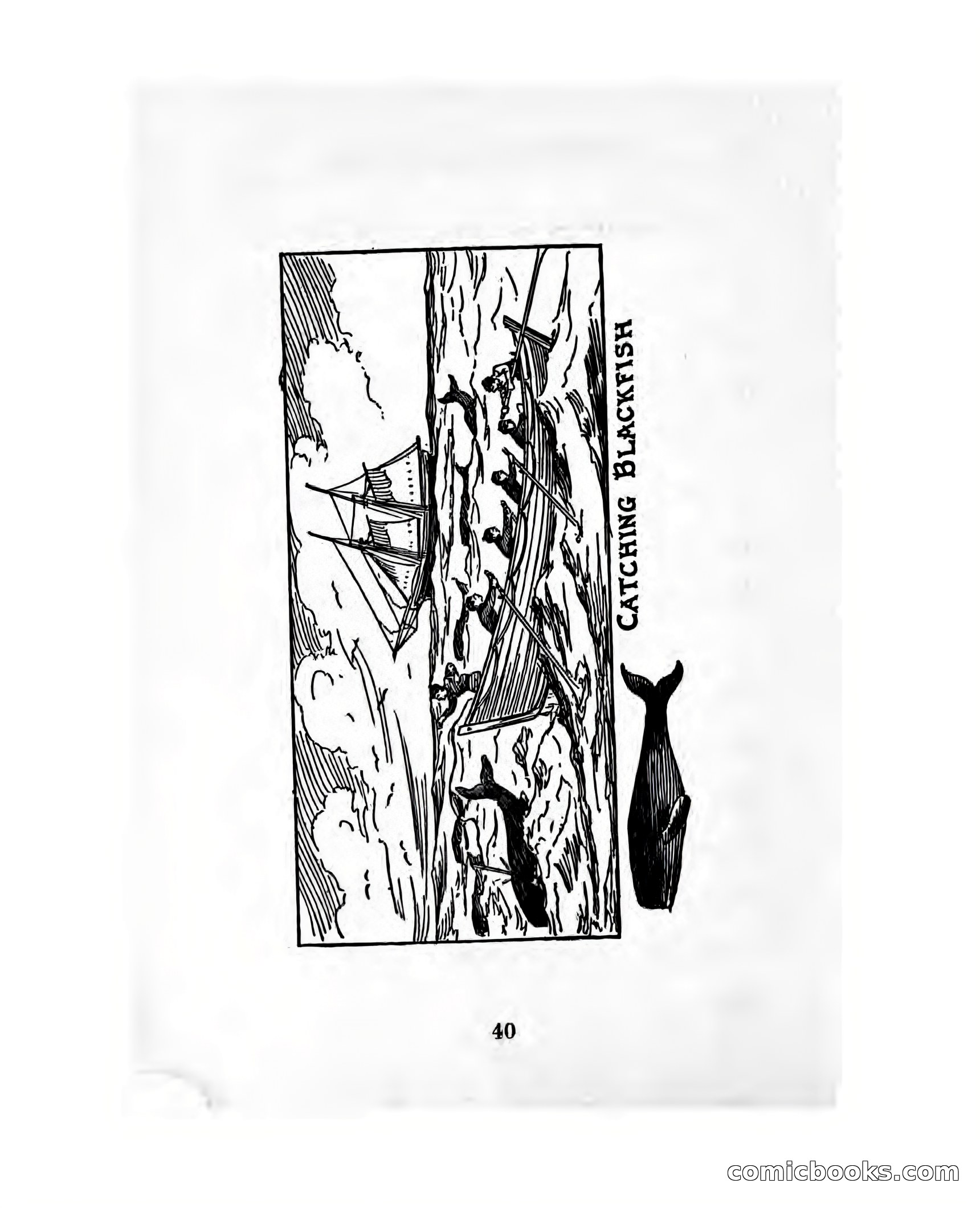 Thrilling Adventures of the Whaler Alcyone — page 45 of 107