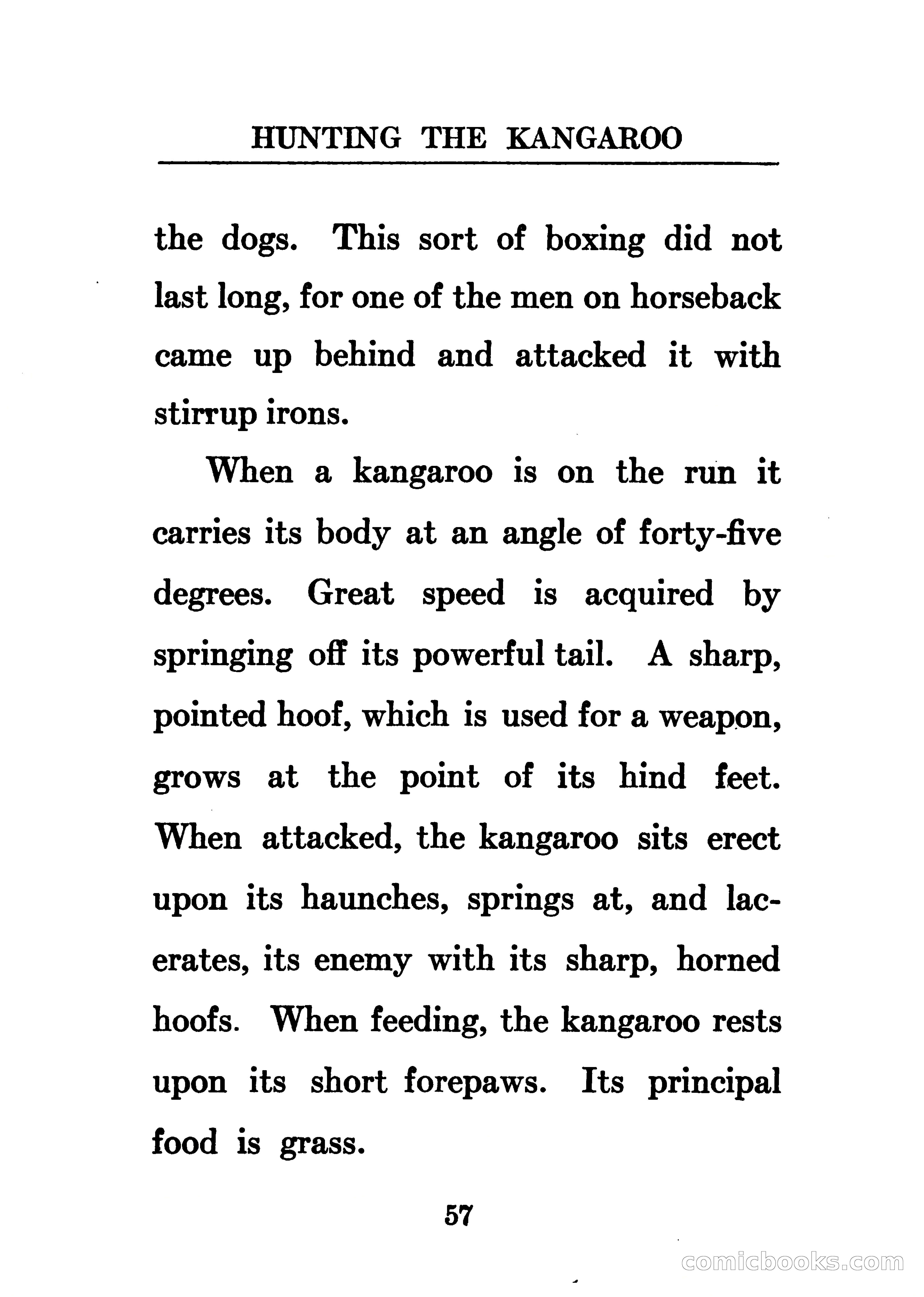 Thrilling Adventures of the Whaler Alcyone — page 62 of 107