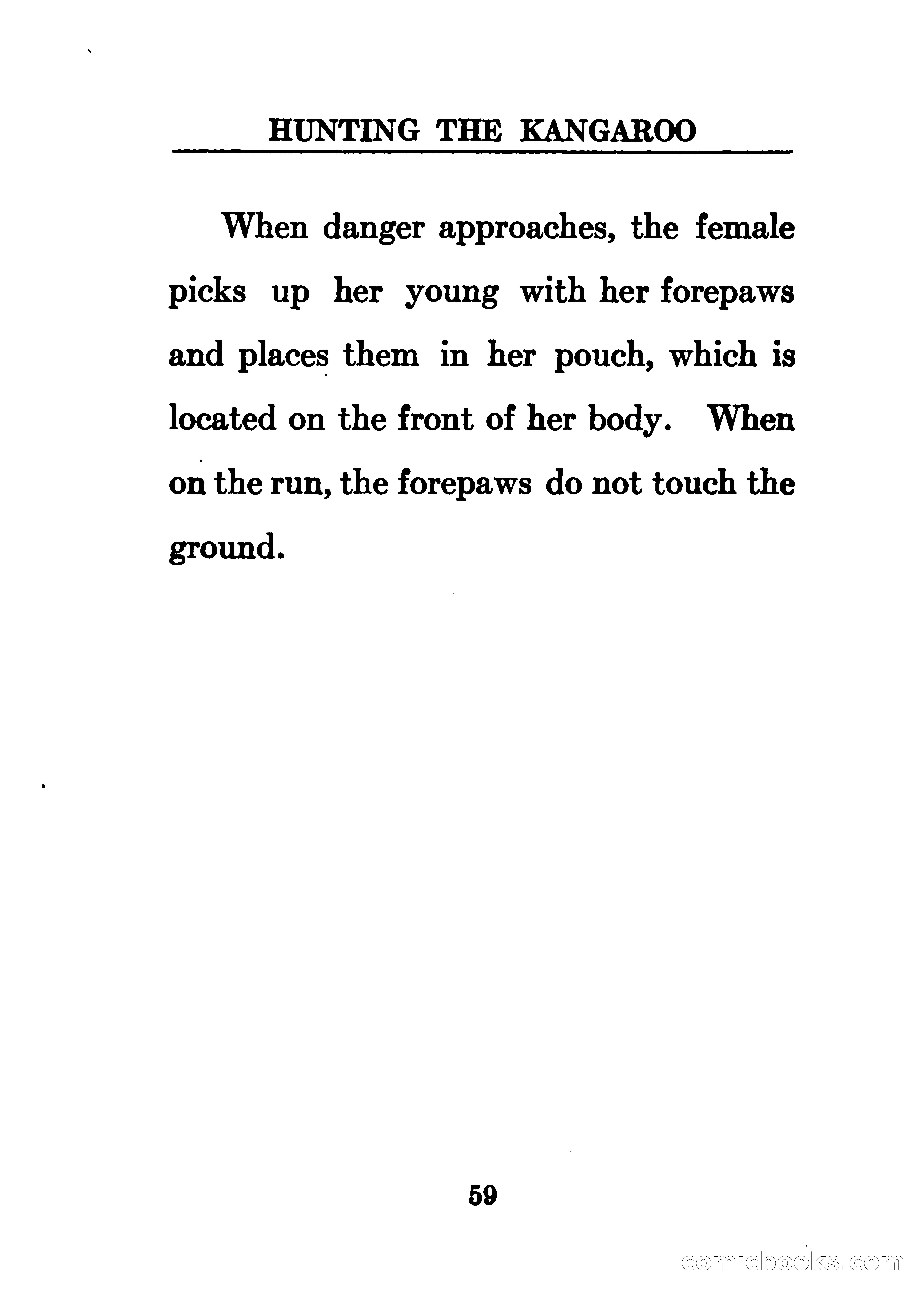 Thrilling Adventures of the Whaler Alcyone — page 64 of 107