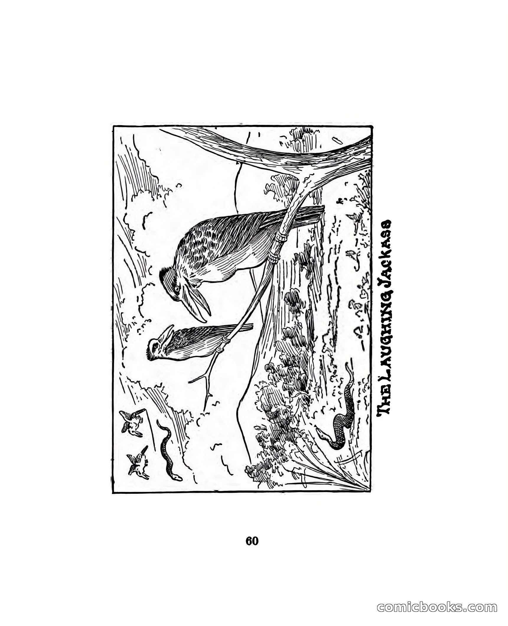 Thrilling Adventures of the Whaler Alcyone — page 65 of 107