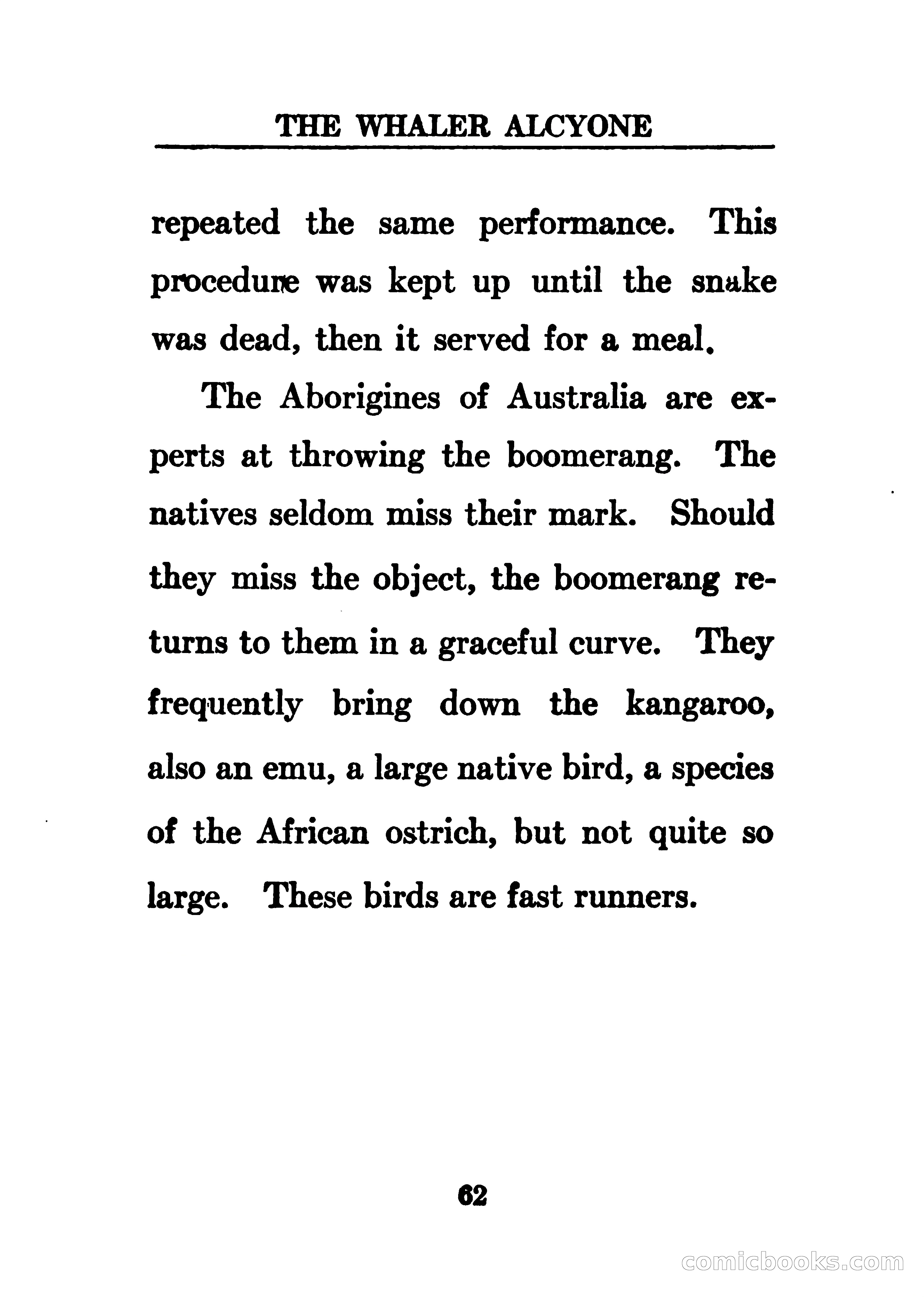 Thrilling Adventures of the Whaler Alcyone — page 67 of 107