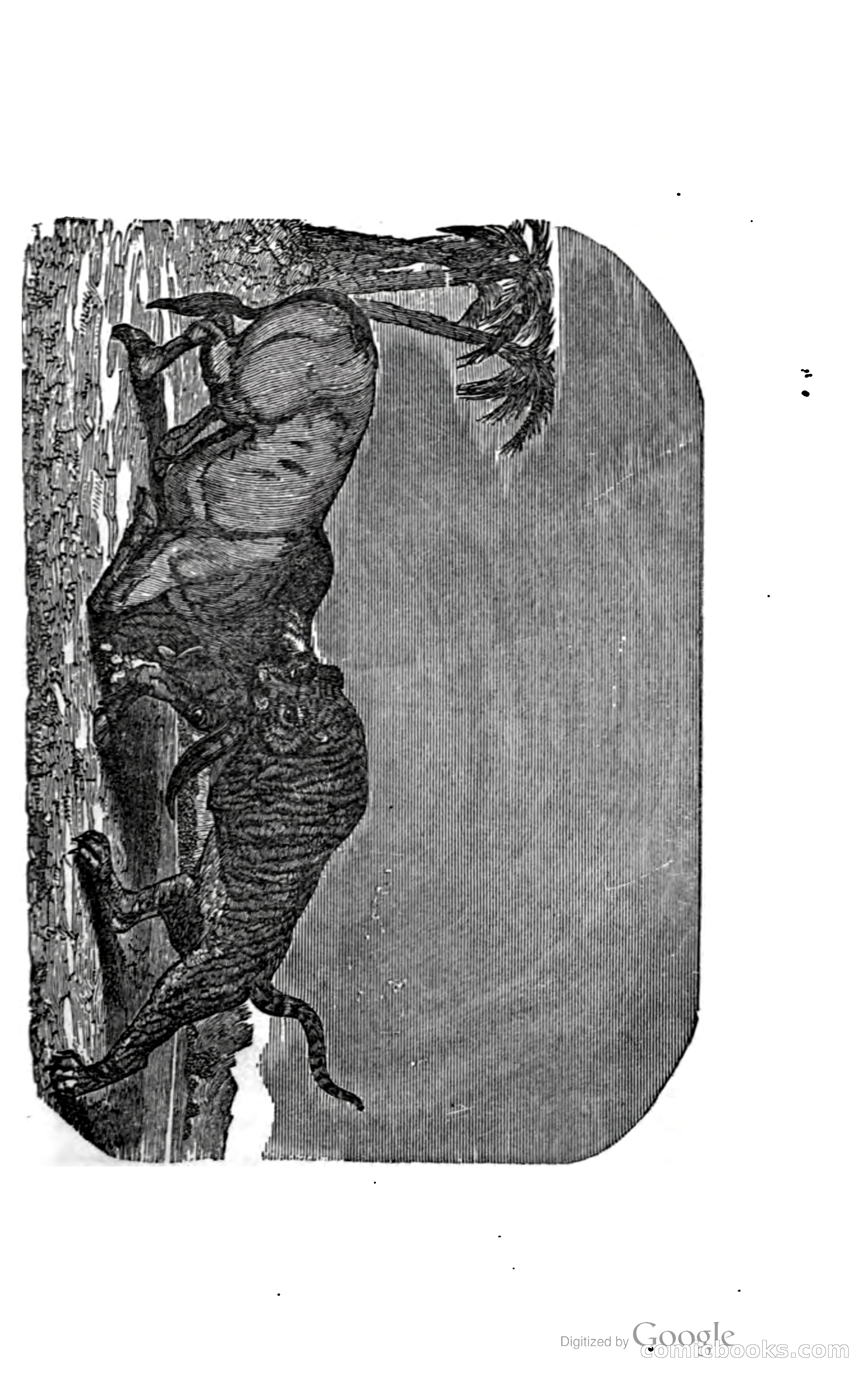 Thrilling Adventures by Land and Sea — page 132 of 393