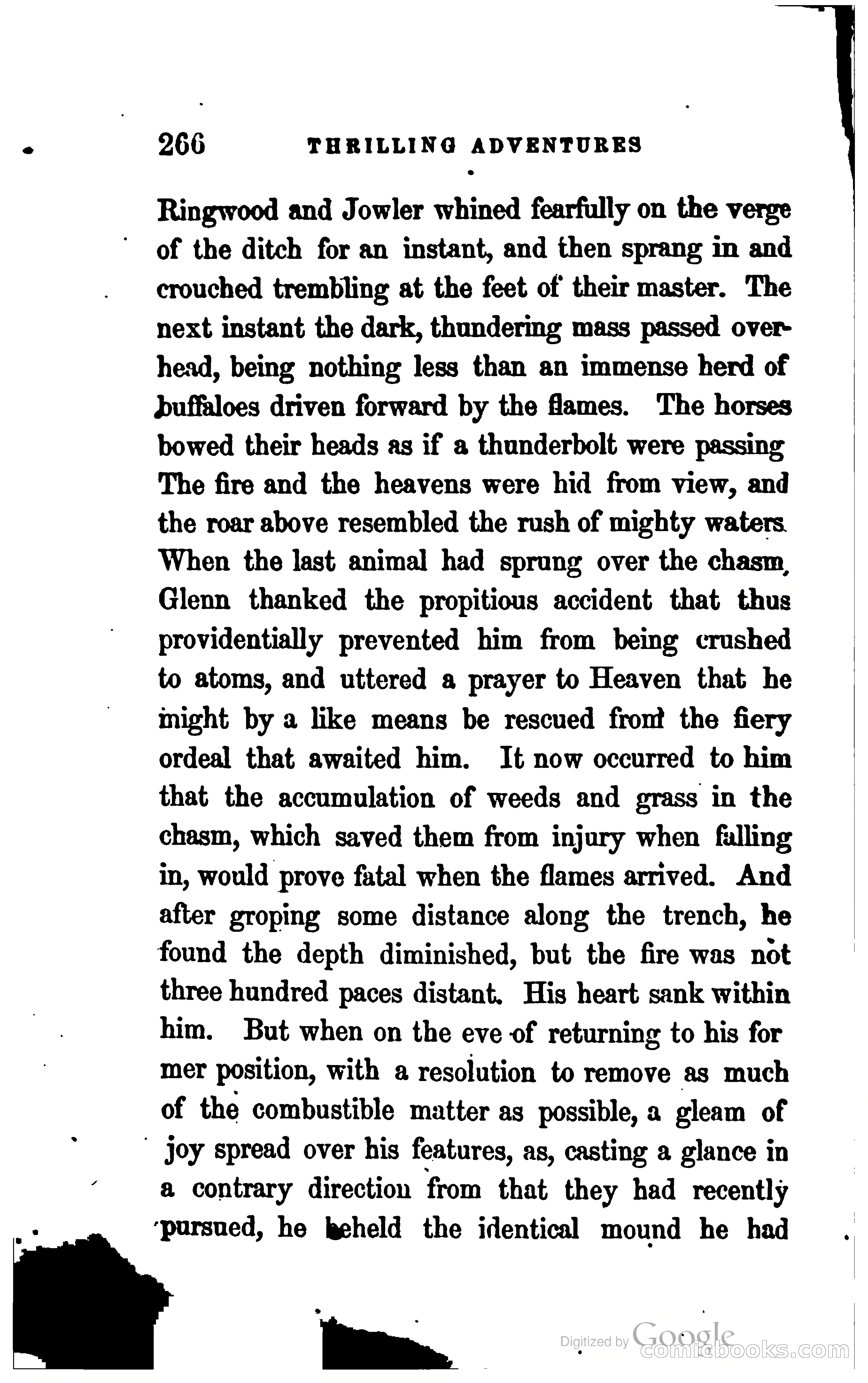 Thrilling Adventures by Land and Sea — page 283 of 393