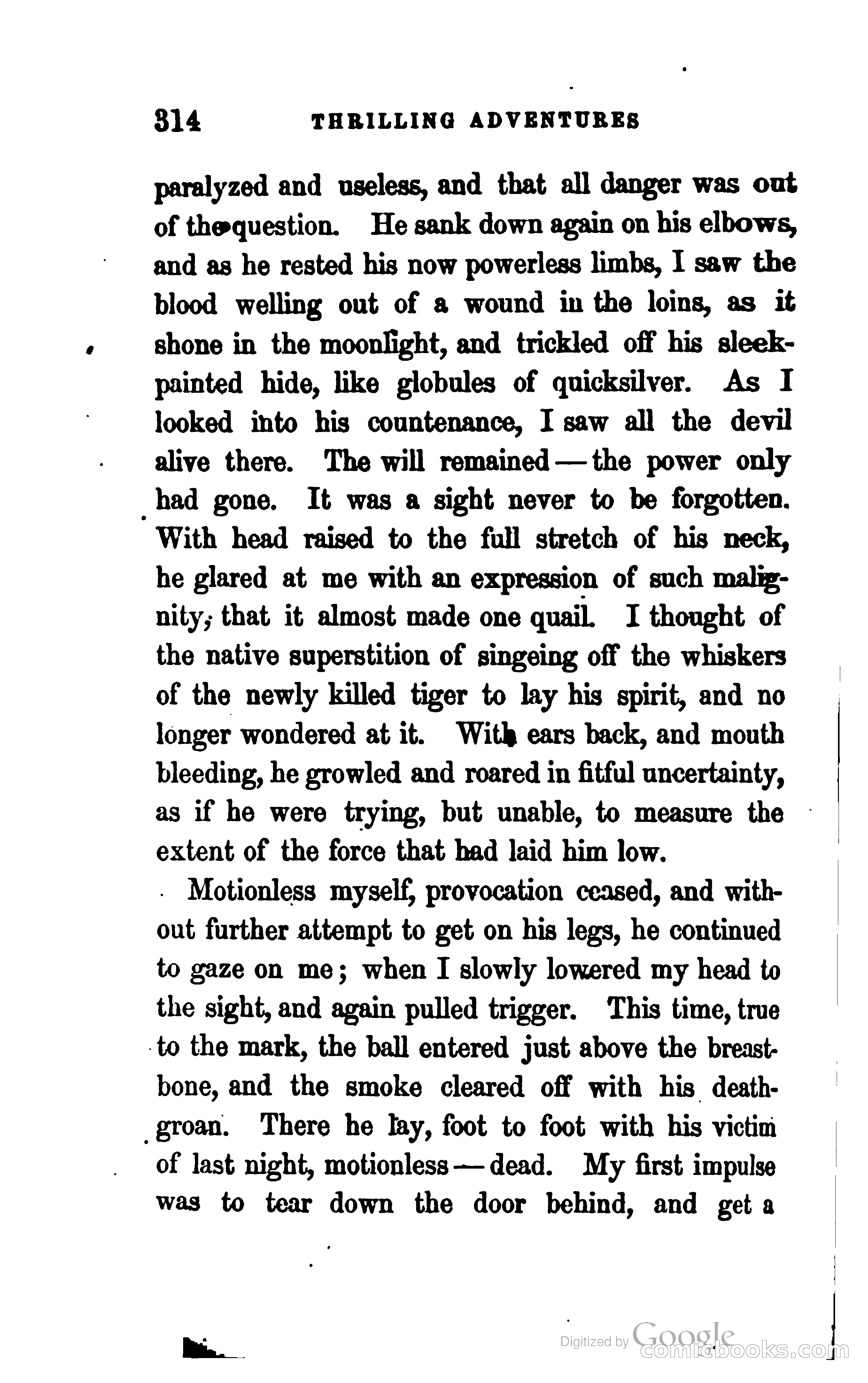 Thrilling Adventures by Land and Sea — page 331 of 393