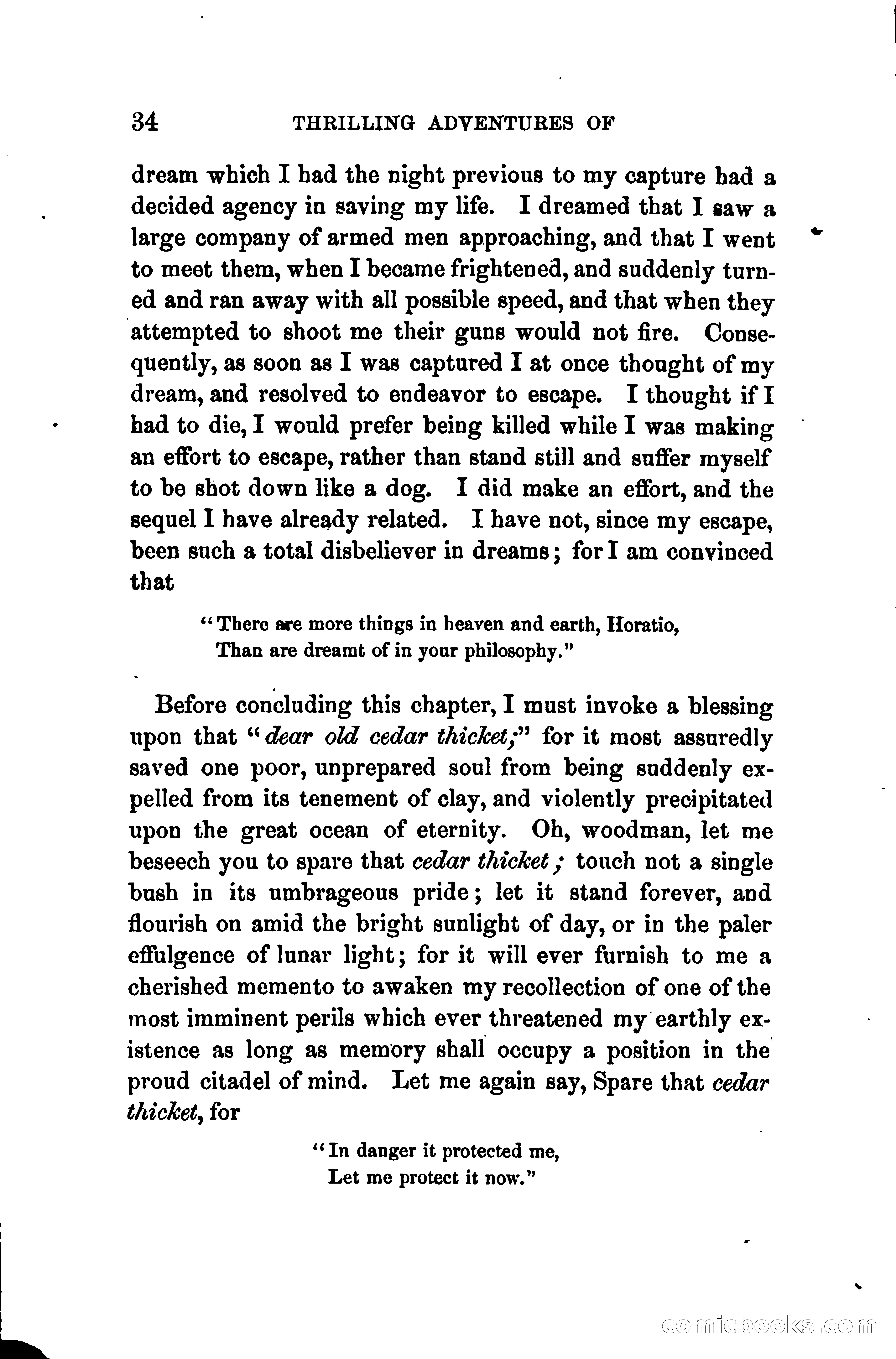 Thrilling Adventures of Daniel Ellis, the Great Union Guide of East Tennessee — page 44 of 399