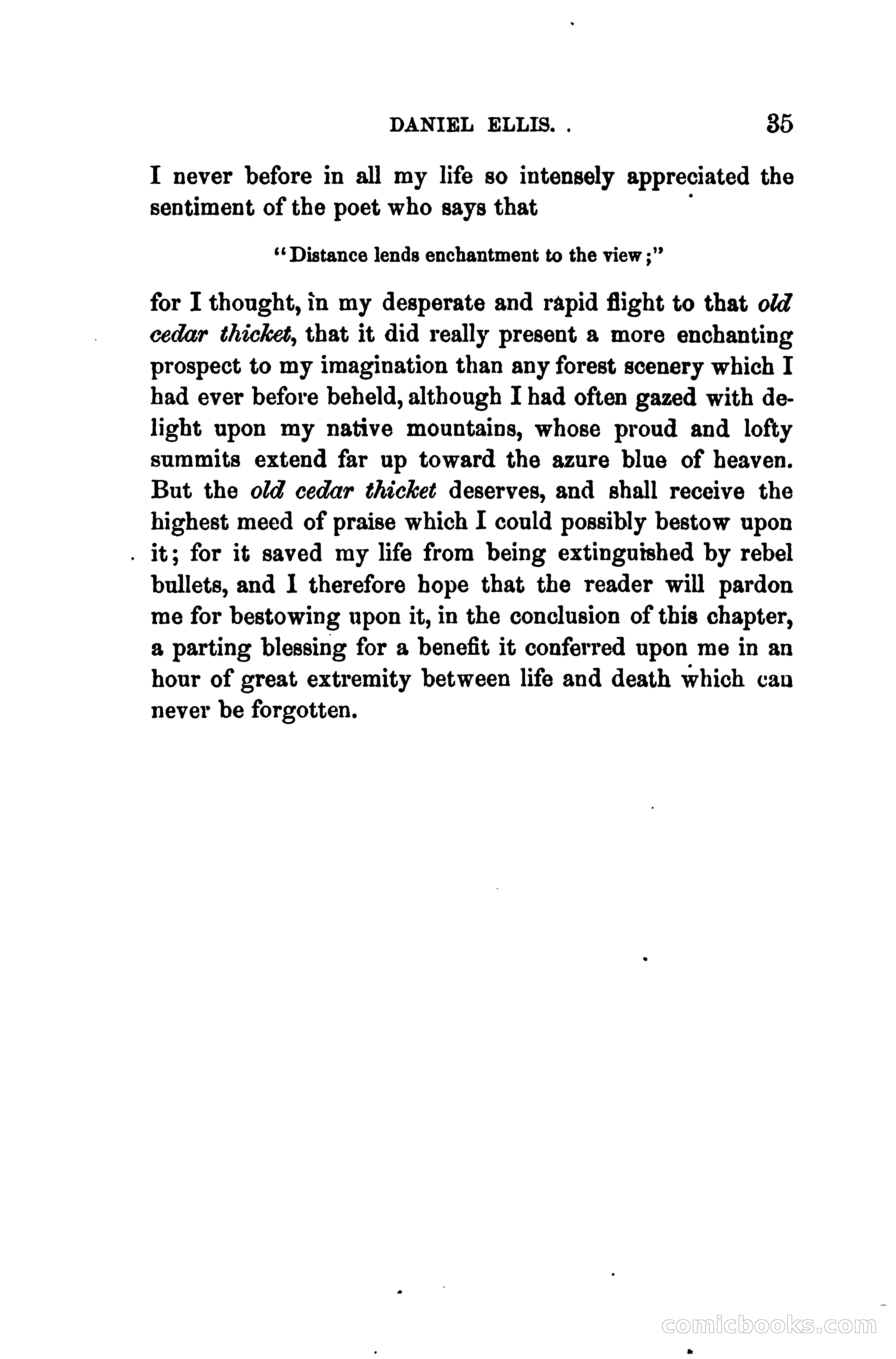 Thrilling Adventures of Daniel Ellis, the Great Union Guide of East Tennessee — page 45 of 399